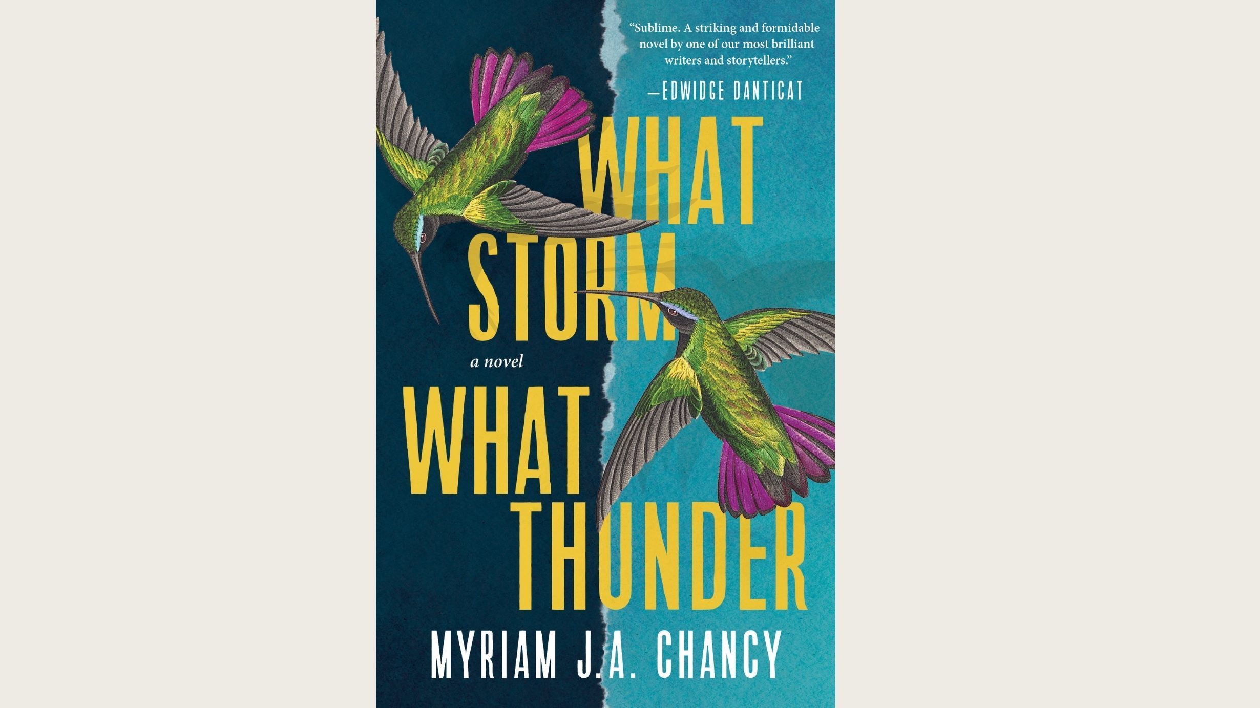 Myriam J.A. Clancy Talks 'What Storm, What Thunder' And 2010 Haiti Earthquake : NPR's Book of the Day : NPR - Vimarsana News