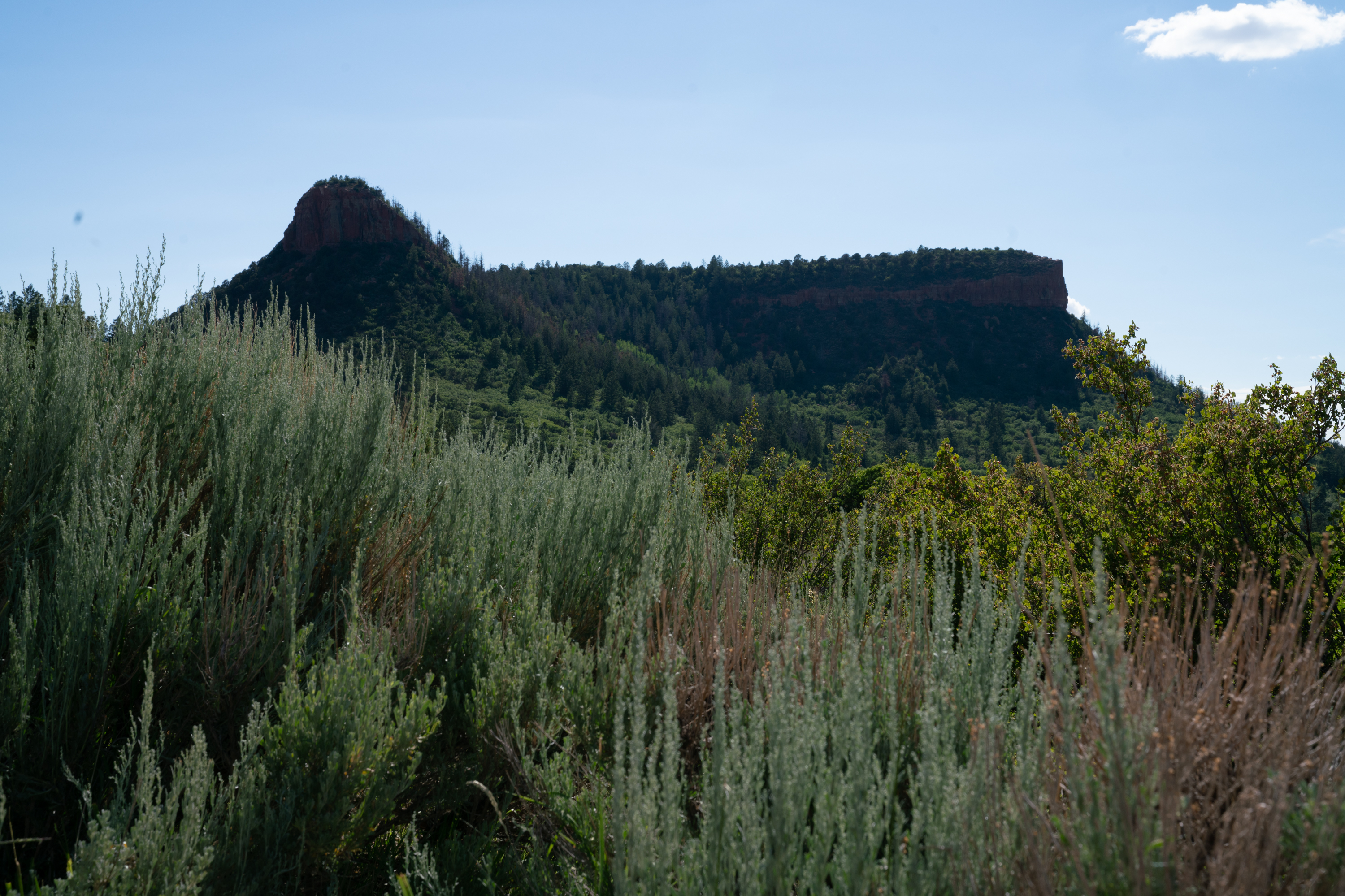 From Valley of the Gods to an ancient Anasazi site, see the grandeur of