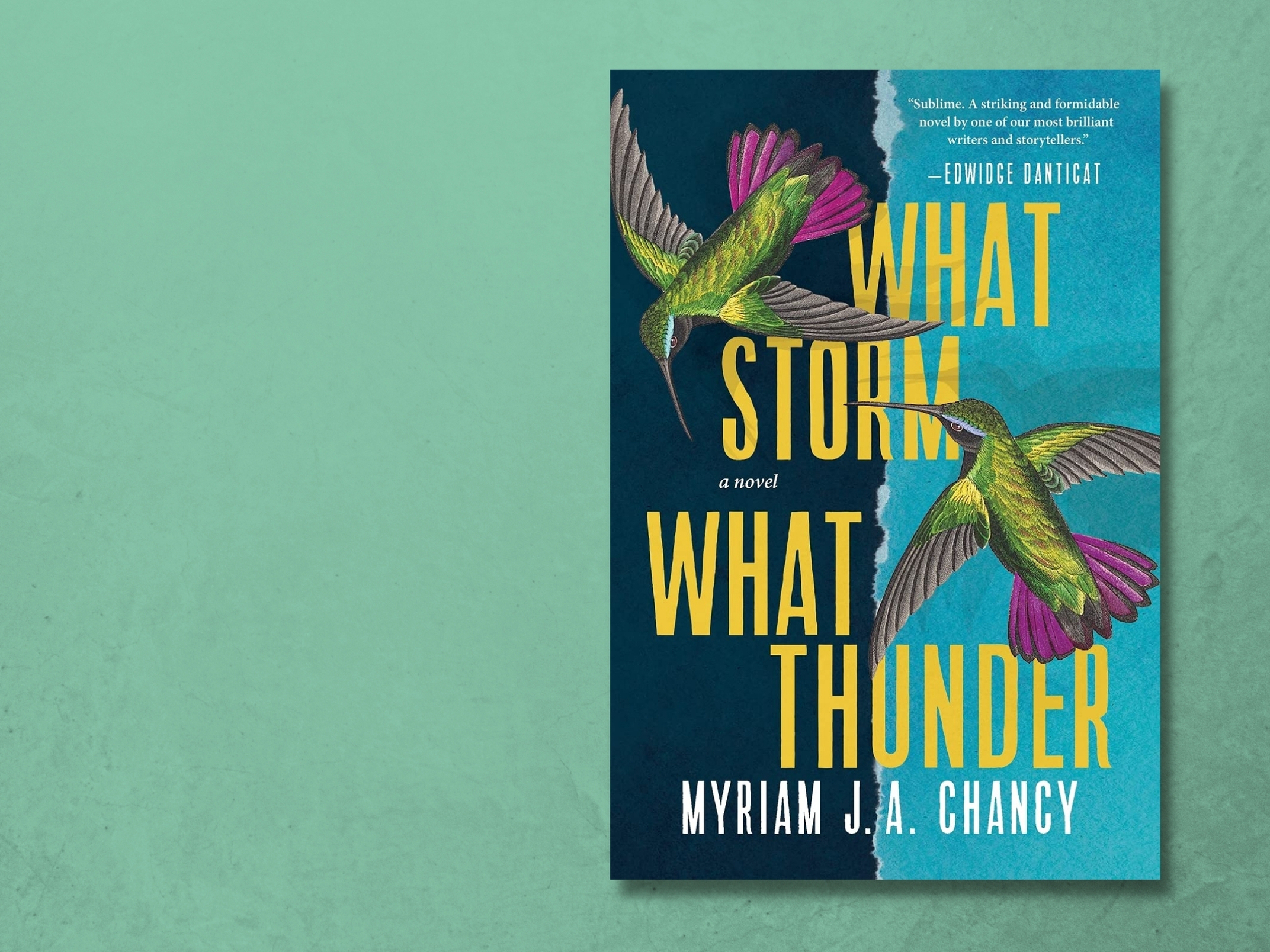 This novel about Haiti's 2010 earthquake shows us: People persist