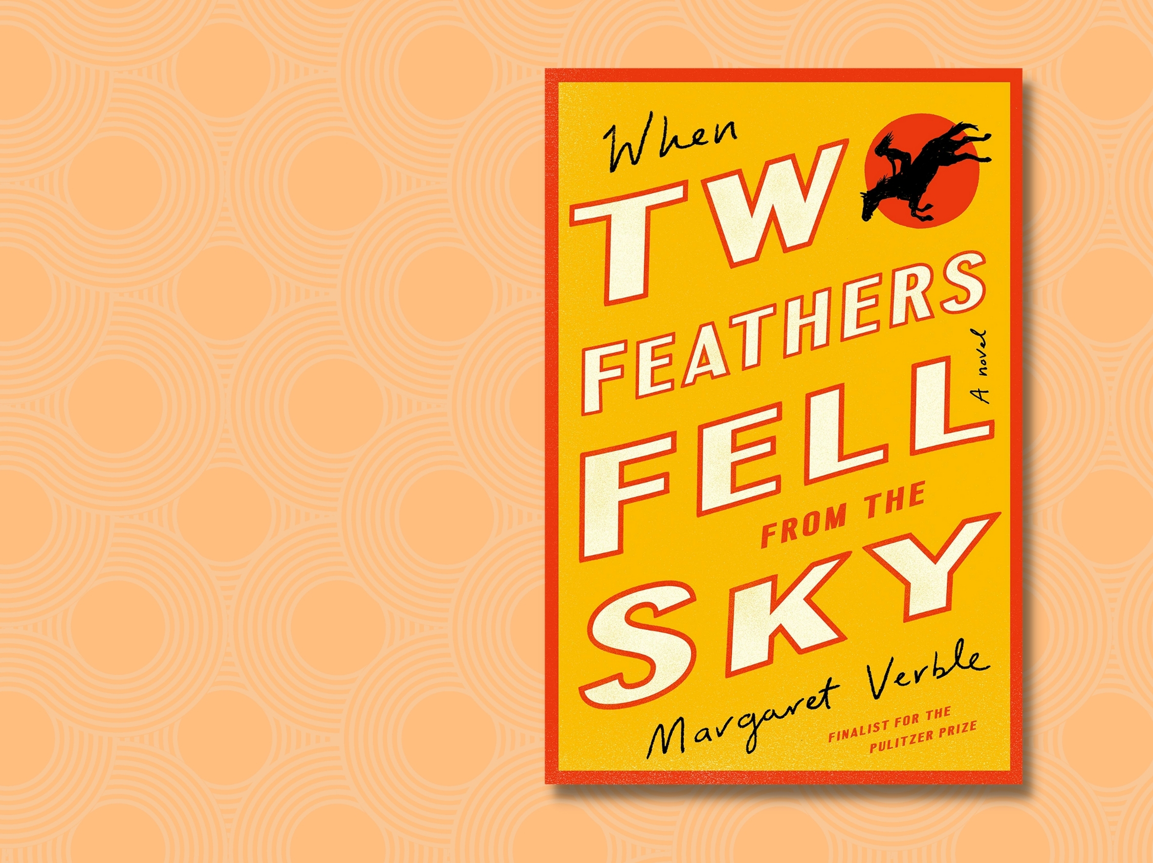 'Two Feathers' is a flawed but gripping novel of racism in the Prohibition-era South
