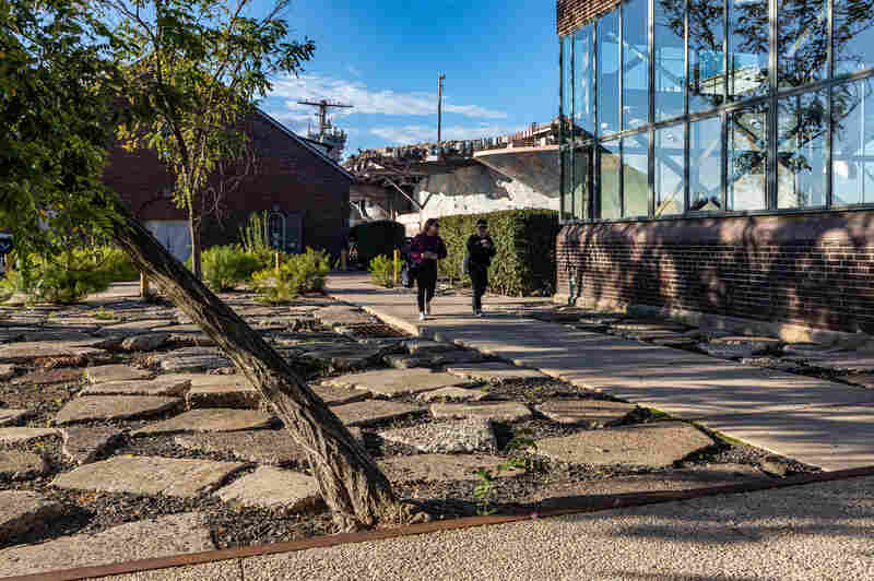 Urban Outfitters, Philadelphia.  Julie Bargmann's studio finds ways to reuse salvaged materials in the rehabilitation of industrial sites like the disused Navy Yard that has become the headquarters of retailer Urban Outfitters.