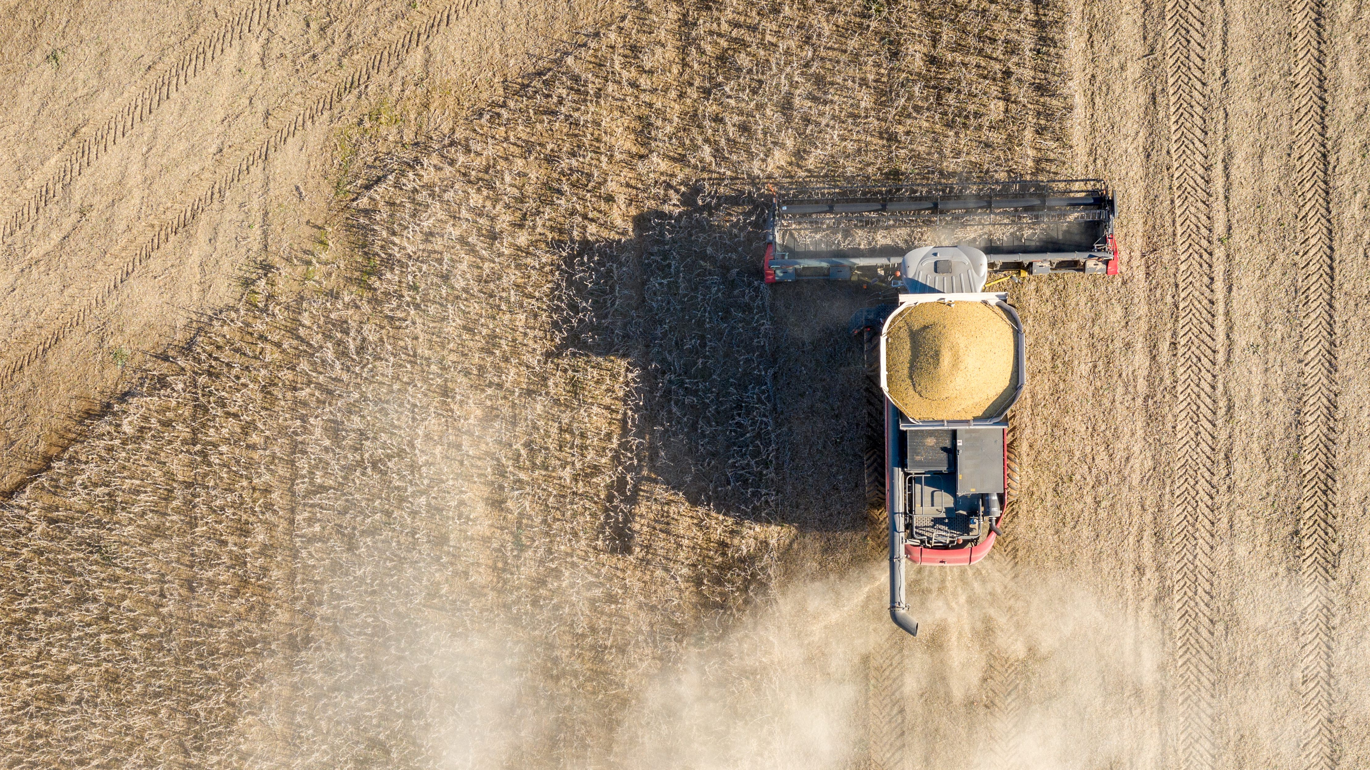 A biodiesel boom (and conundrum) : Short Wave - Vimarsana News