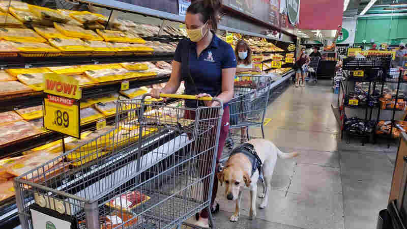 More veterans with PTSD will soon get help from service dogs. Thank the 'PAWS' Act 