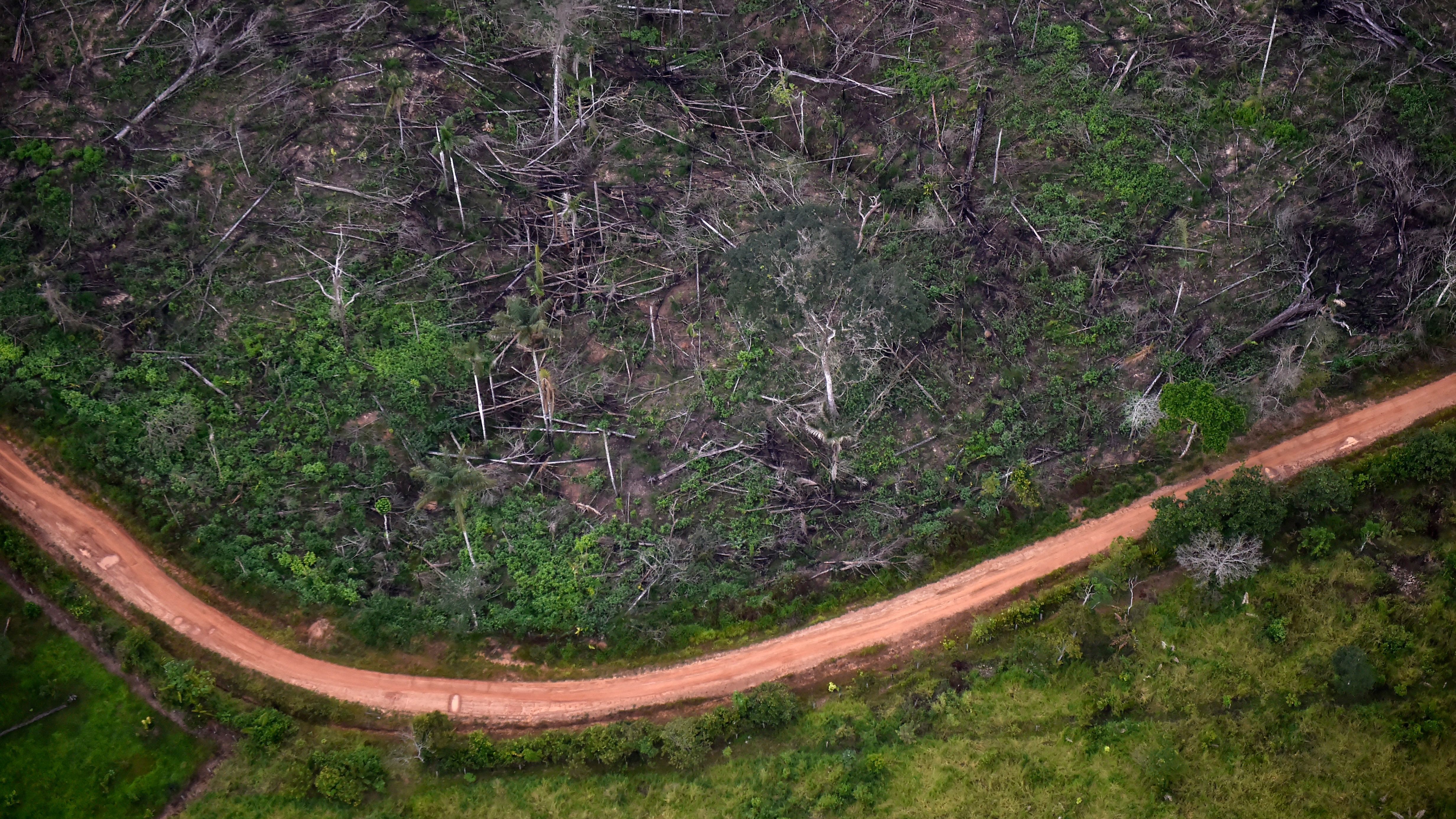 Aerial view of illegal deforestation at the Natural National Park in La Macarena, Meta Department, Colombia, in 2020. (AFP via Getty Images)