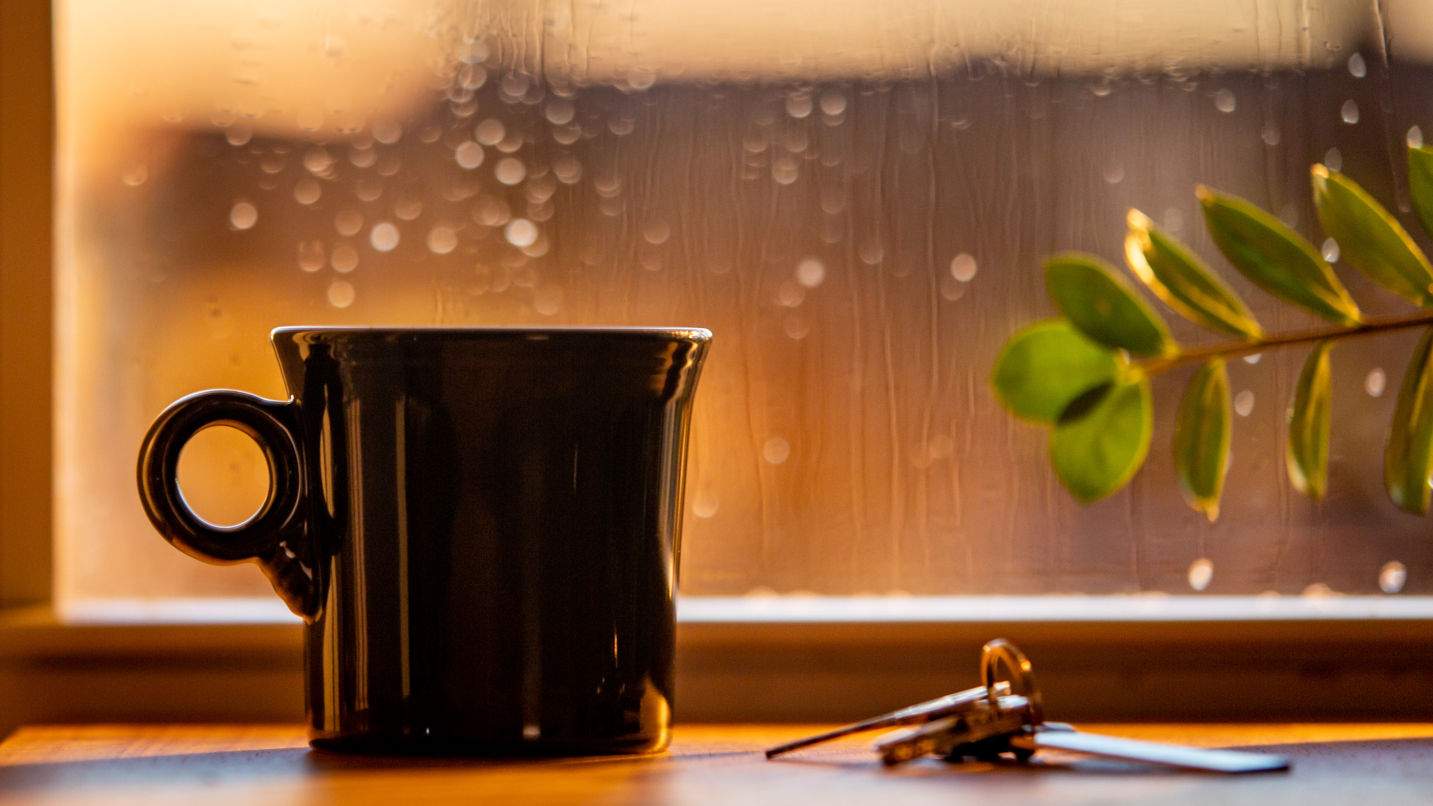 How to wake up early : Life Kit : NPR - Vimarsana News