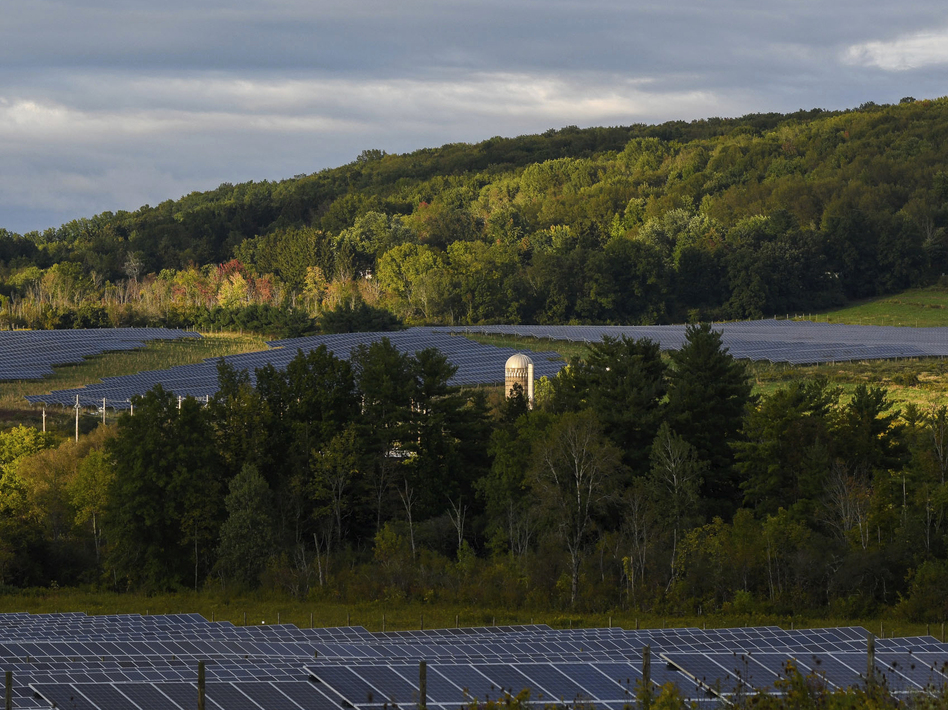 Solar farms surround trees at Cornell University in Ithaca, N.Y. The city voted Wednesday night to decarbonize the city's buildings and install more energy efficient appliances and more solar panels. The city says the move will cut 40% of their carbon emissions. (Heather Ainsworth/AP)