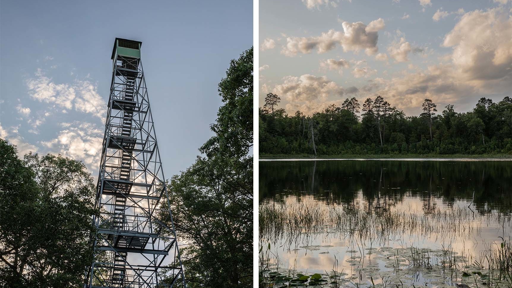 See how Minnesota fire towers help preserve a 5,000yearold bog The Picture Show NPR
