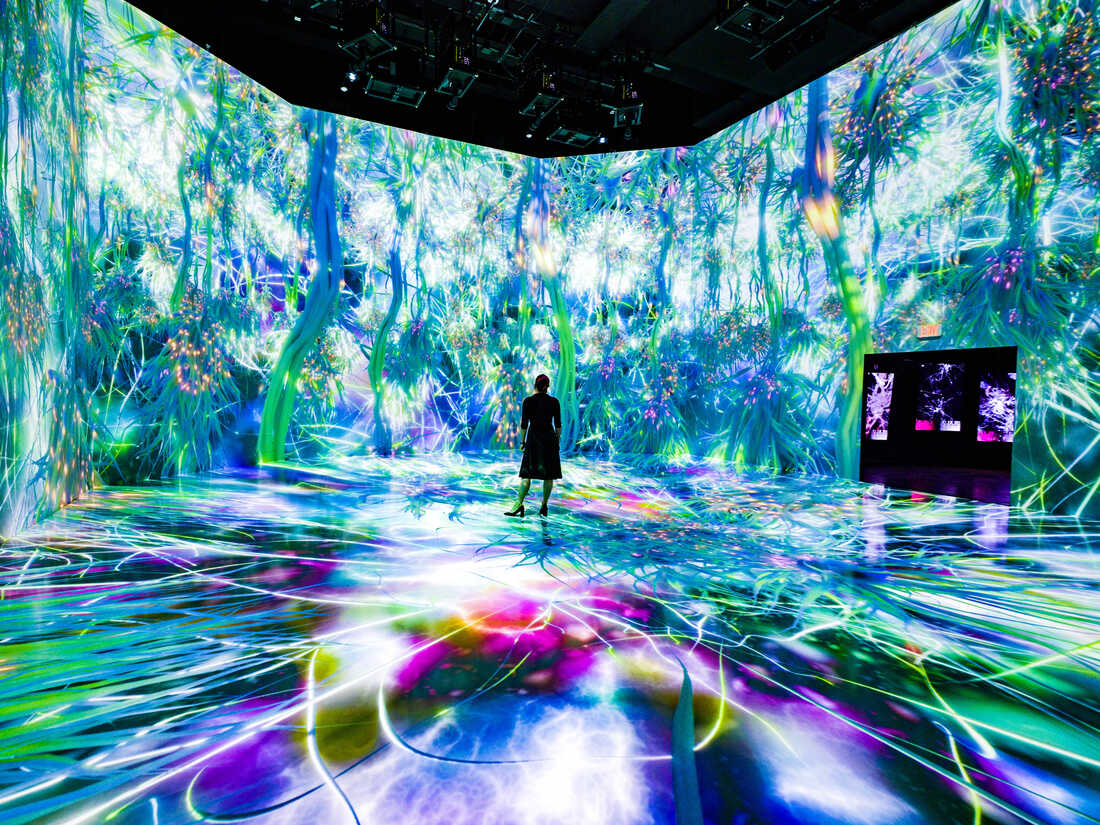 ARTECHOUSE PRESENTS LIFE OF A NEURON — THE GROUNDBREAKING EXHIBITION THAT  TELLS THE STORY OF THE GREATEST MYSTERY OF THE HUMAN BRAIN — IS COMING TO NEW  YORK CITY THIS SUMMER