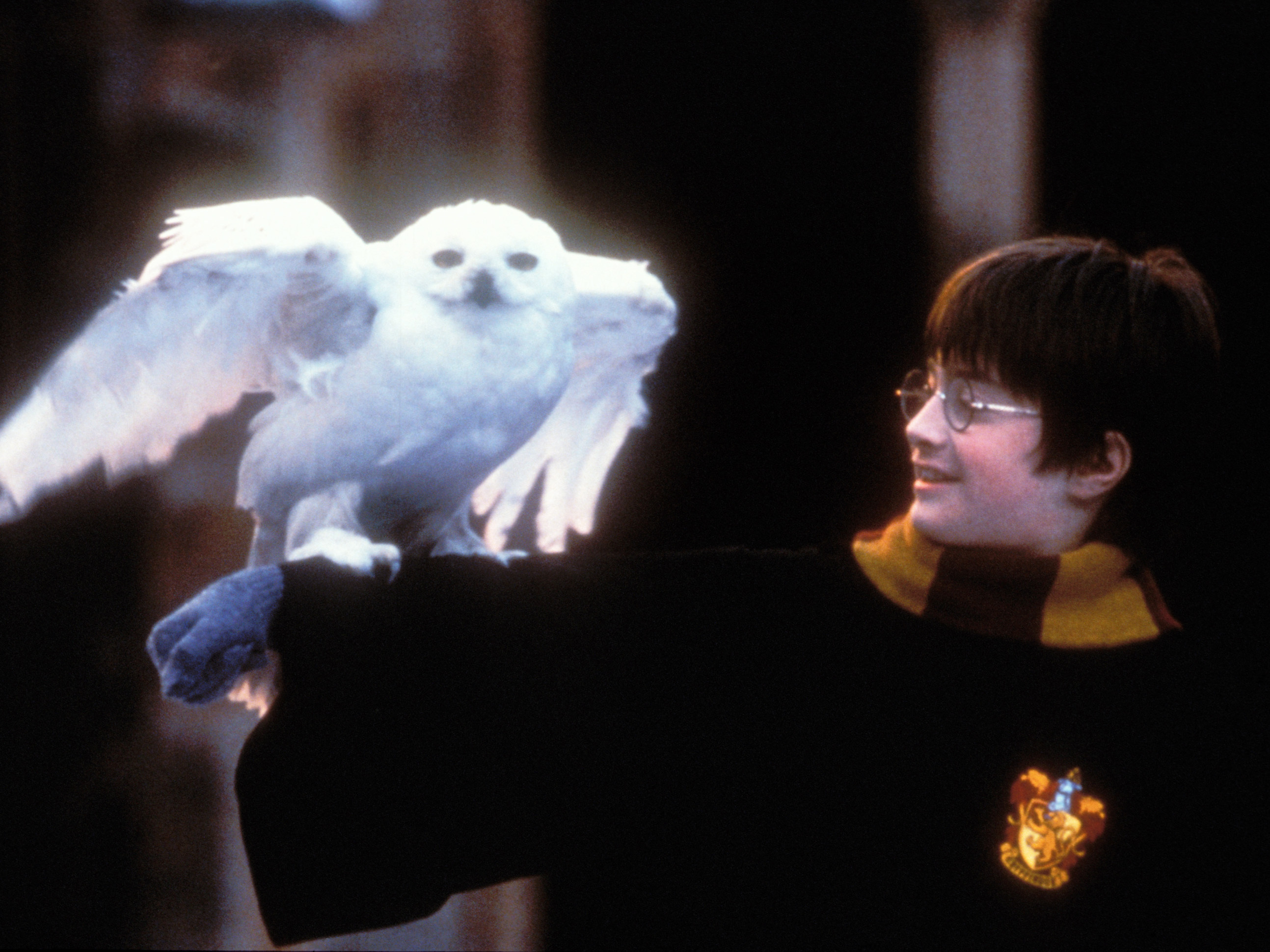 A young Daniel Radcliffe stars as Harry Potter in &quot;Harry Potter and The Sorcerer's Stone,&quot; which premiered in 2001. (WireImage)