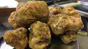 A trunk full of truffles (Update)