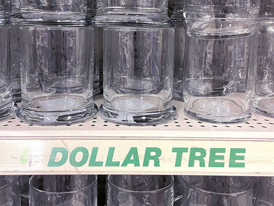 Enhance Your Shopping Experience with Top Picks from Dollar Tree Plus Under  $5