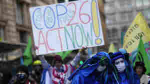 Carbon trading gets a green light from the U.N., and Brazil hopes to earn billions