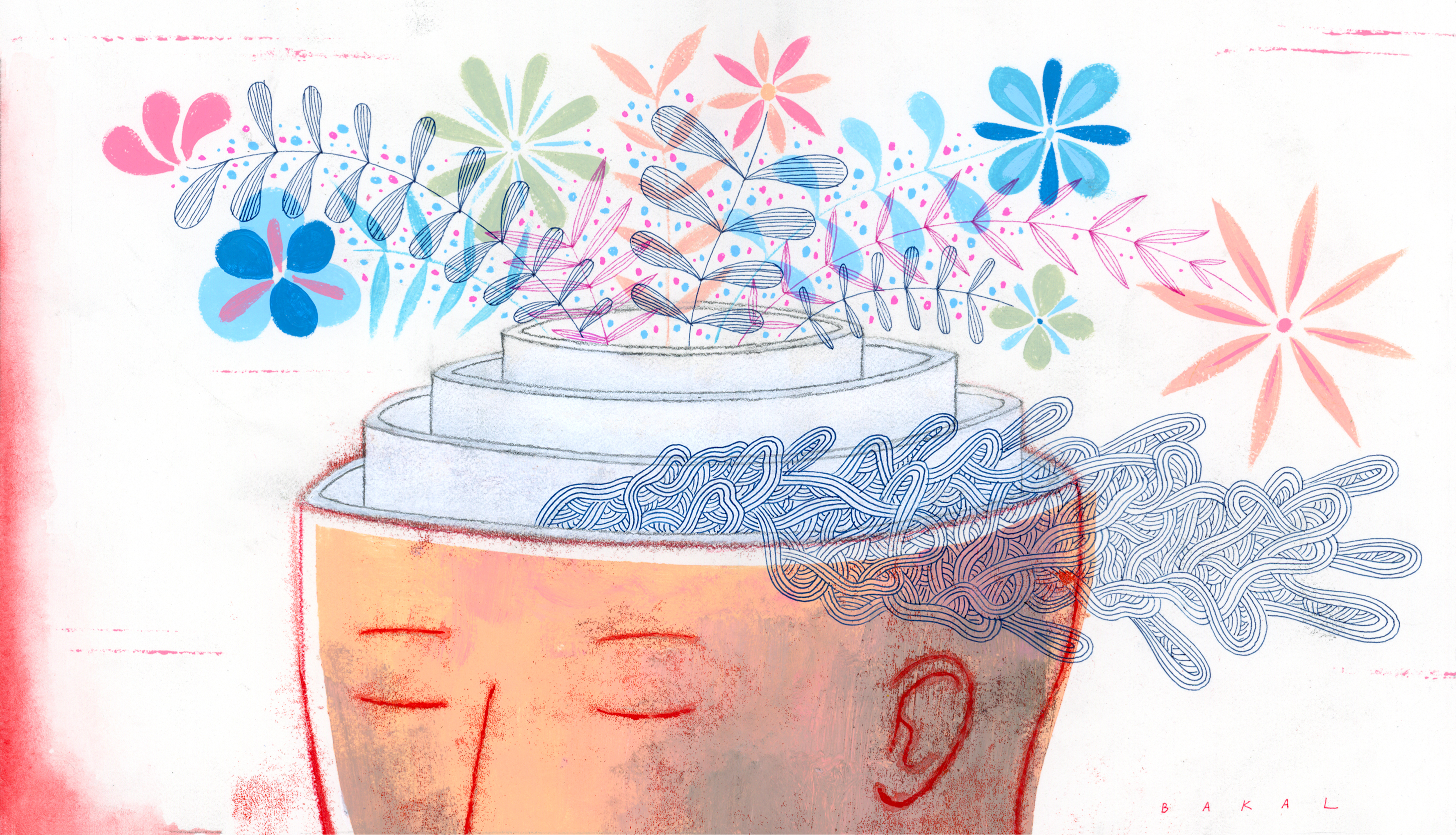 (Scott Bakal for NPR)
