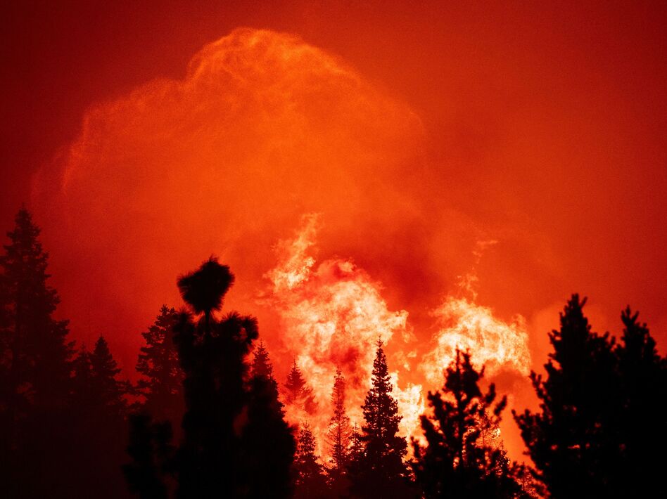 By the time it was contained, the Caldor fire had destroyed more than 1,000 structures, damaged 81, injured at least five people and forced some 50,000 people to evacuate from the Lake Tahoe area. (Josh Edelson/AFP via Getty Images)