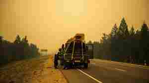 The Arctic has a new record high temperature, according to the U.N.