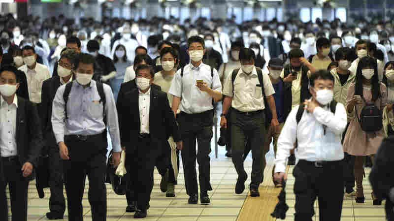 The riddle of Japan's dramatic drop in COVID numbers