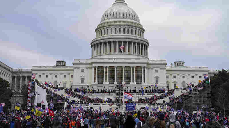 Proud Boys member pleads guilty for role in Capitol riot