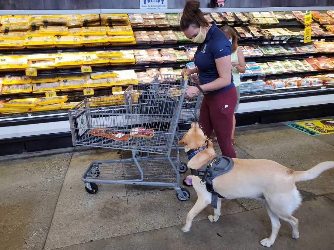 Service dogs in grocery hot sale stores