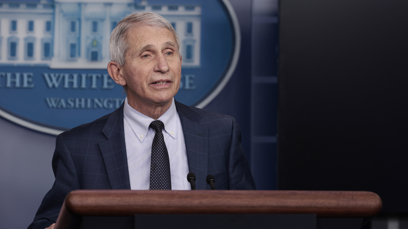 Fauci says New York was ideal to relieve quarantine rules for health and fitness treatment staff : Coronavirus Updates : NPR