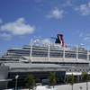 More cruise ships are under CDC investigation following COVID-19 outbreaks on board