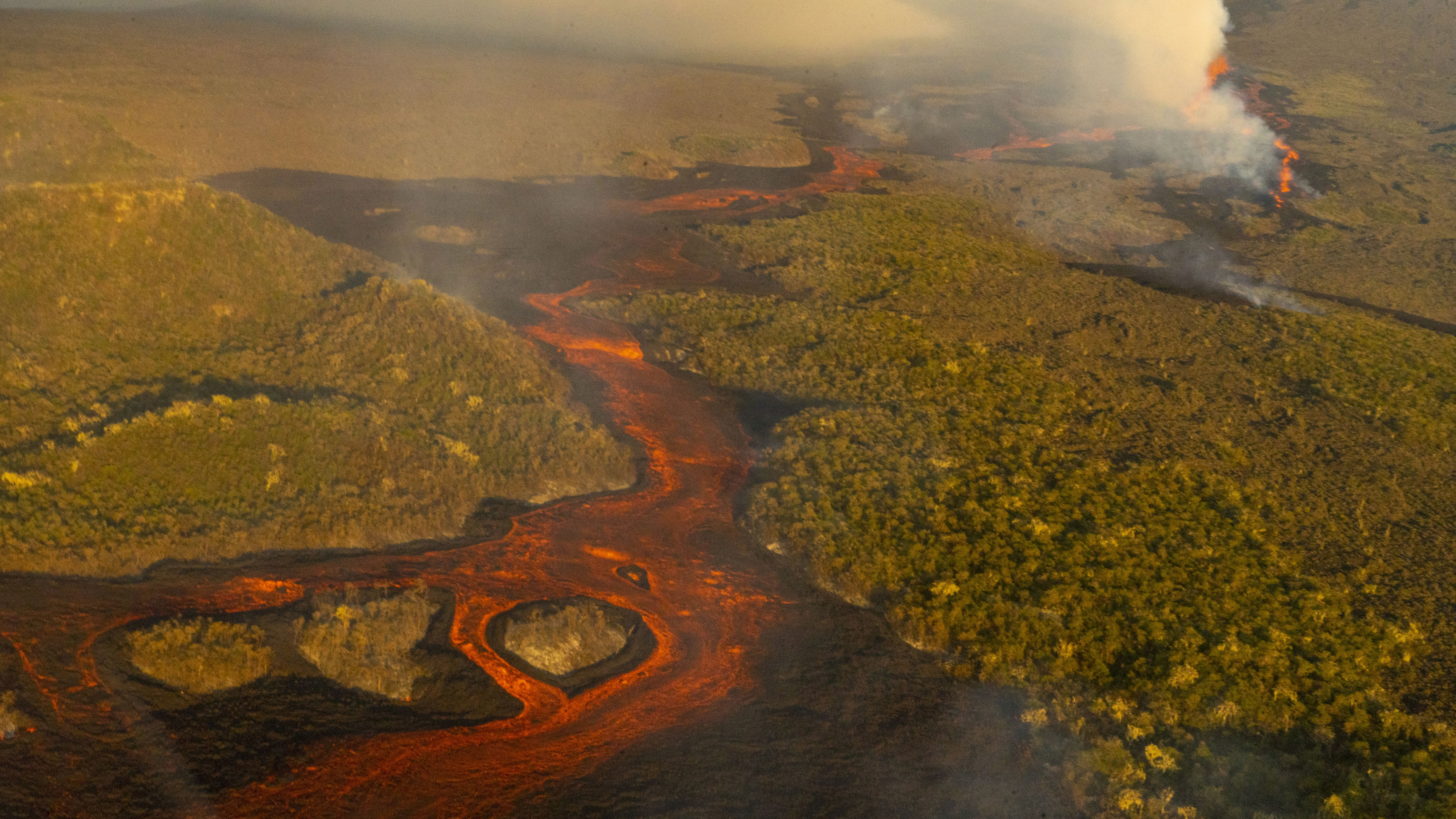Tallest Galapagos volcano erupts, spewing lava and ash - Vimarsana News