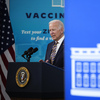 Federal court blocks Biden's right to delegate vaccines to federal workers