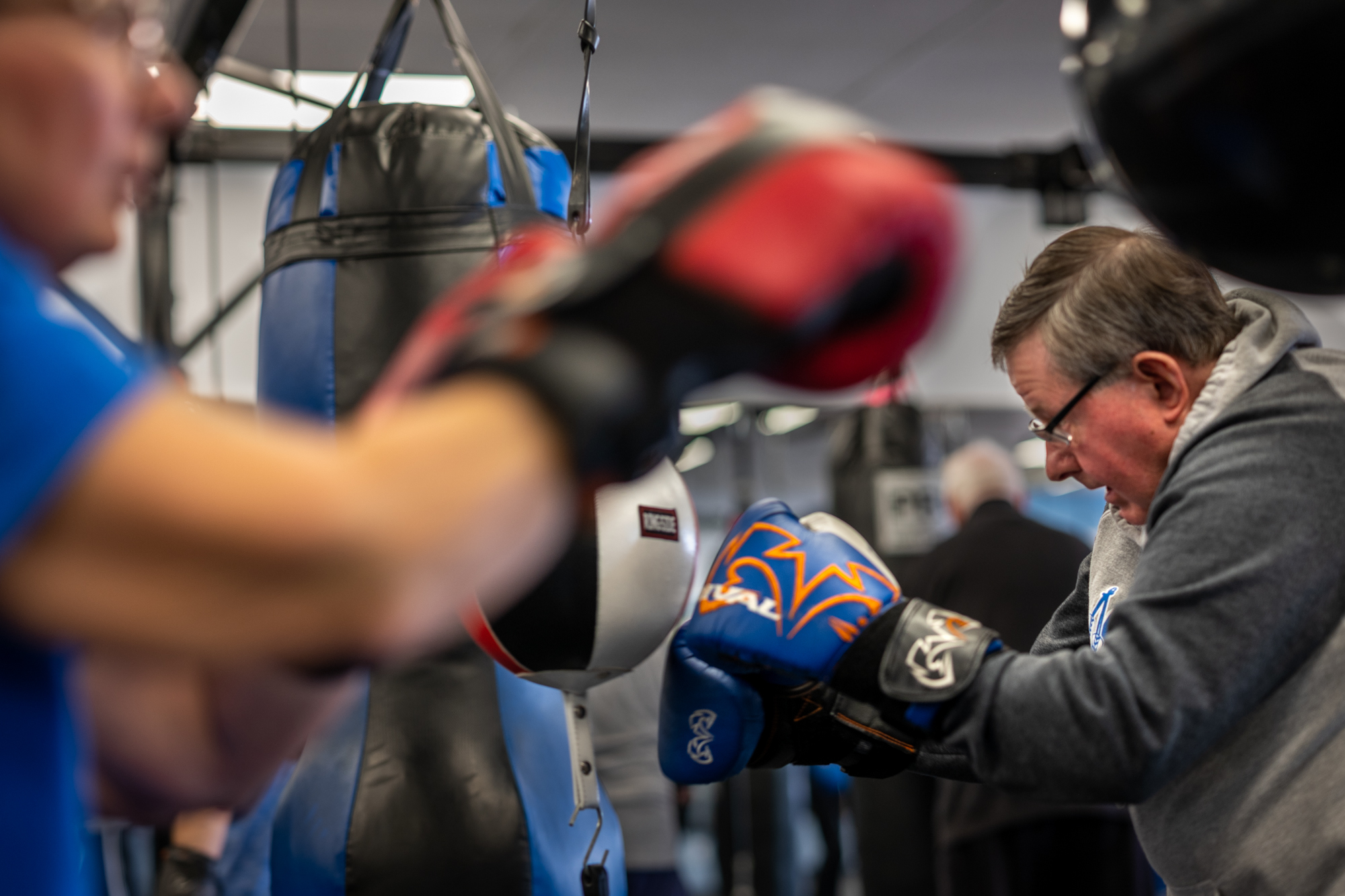 A brain circuit tied to emotion may lead to better treatments for