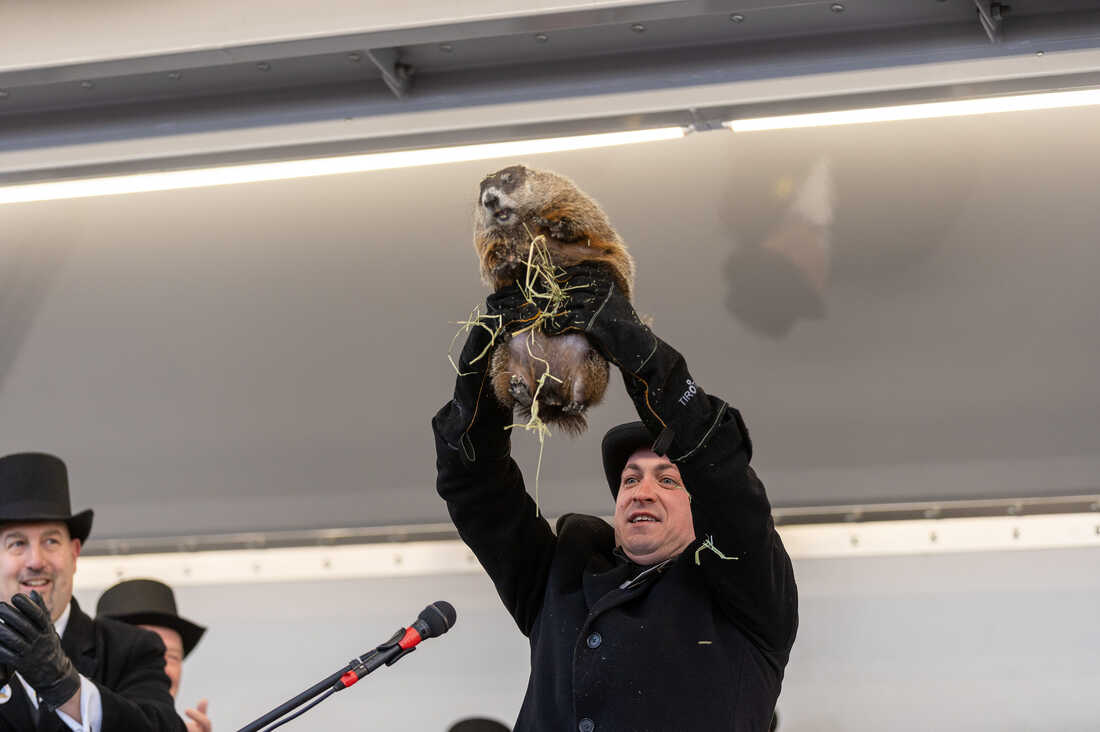 Milltown Mel, a celebrity groundhog, dies just before Groundhog Day NPR