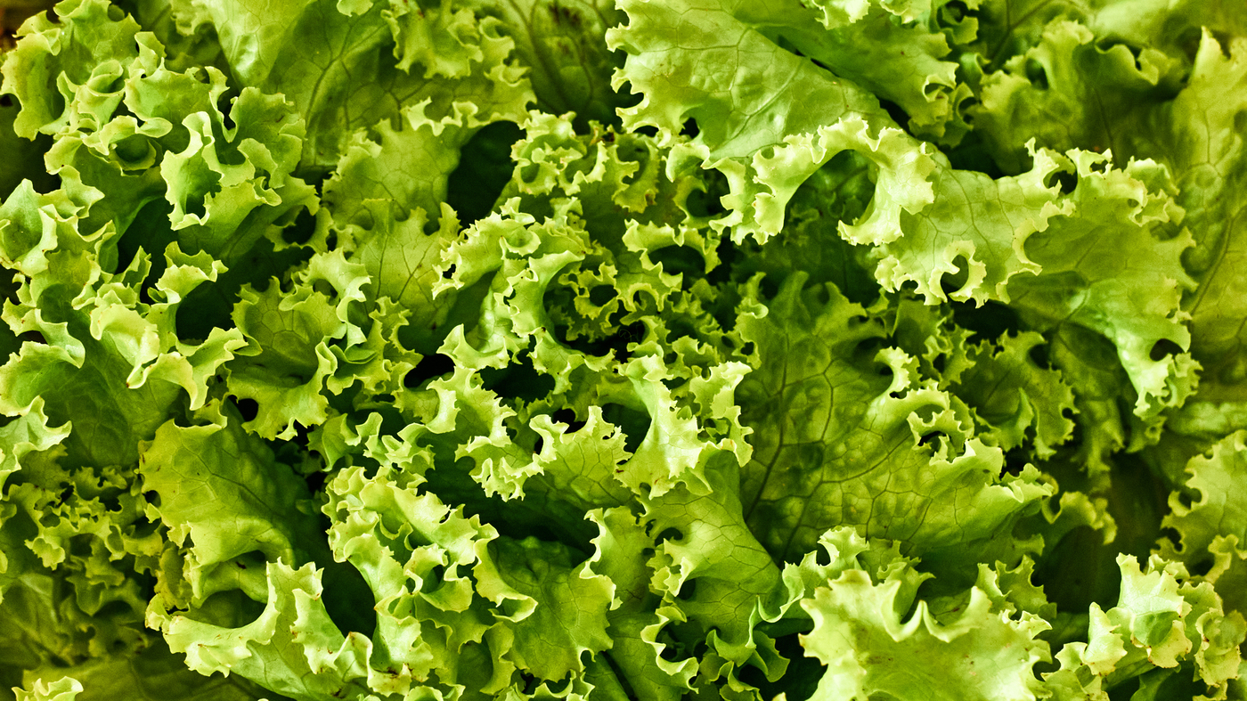 CDC Listeria outbreak linked to Dole salads kills two, sickens 17 NPR