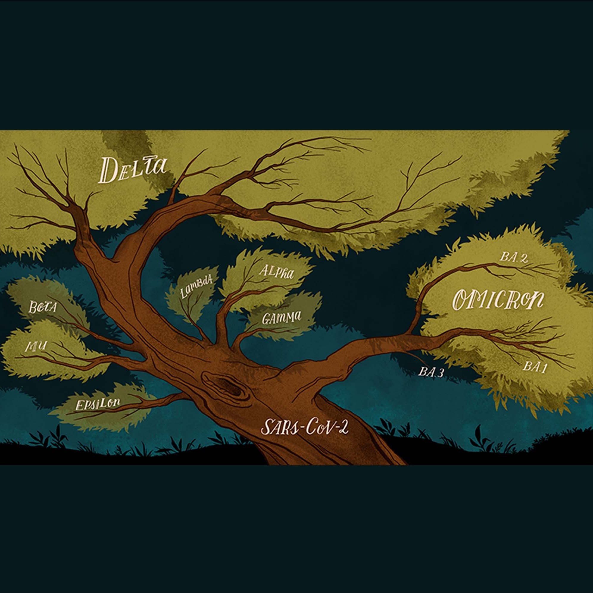 This illustration of SARS-CoV-2's family tree is full of surprises
