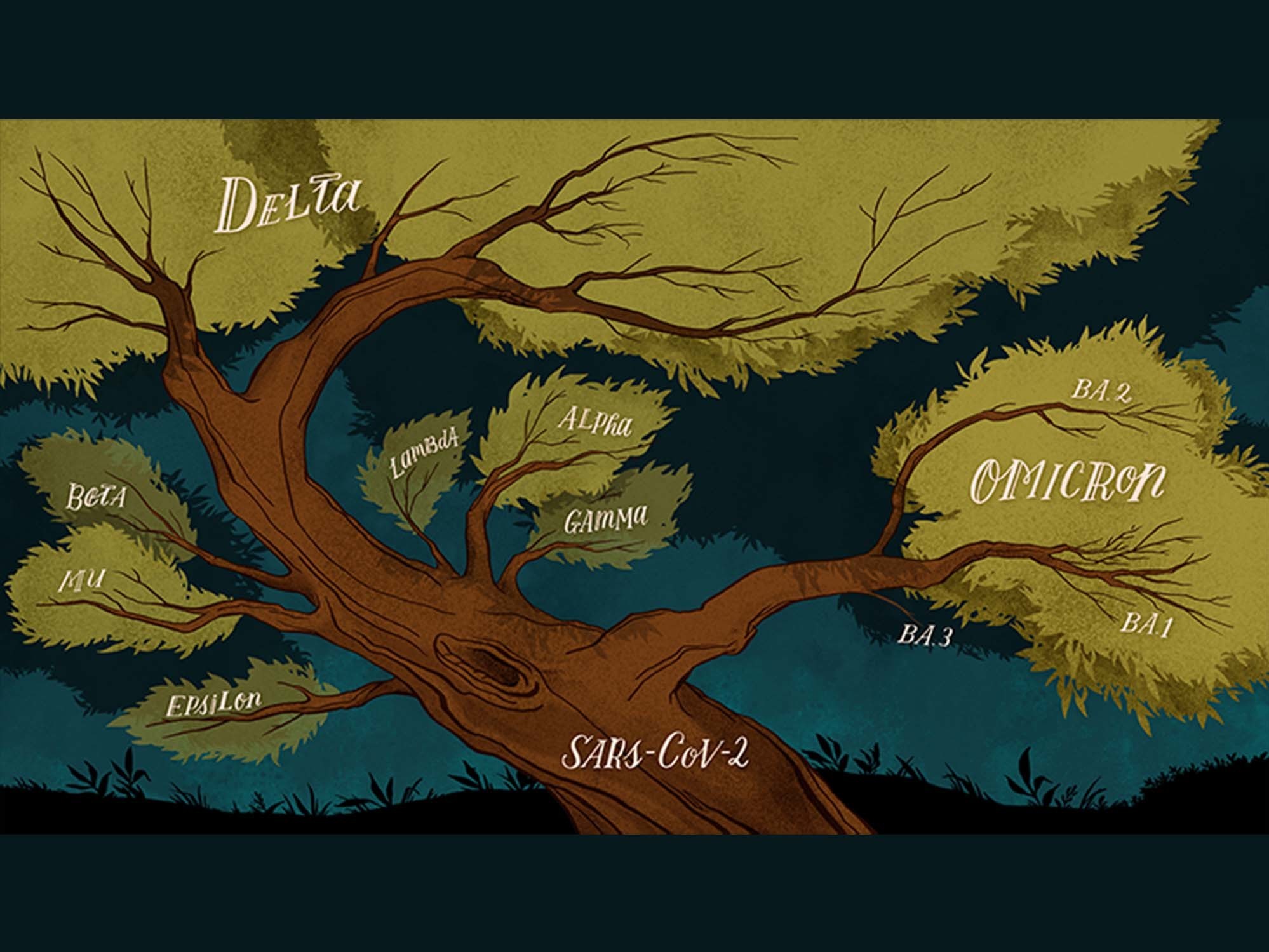 Take a look at SARS-CoV-2's family tree. It's full of surprises