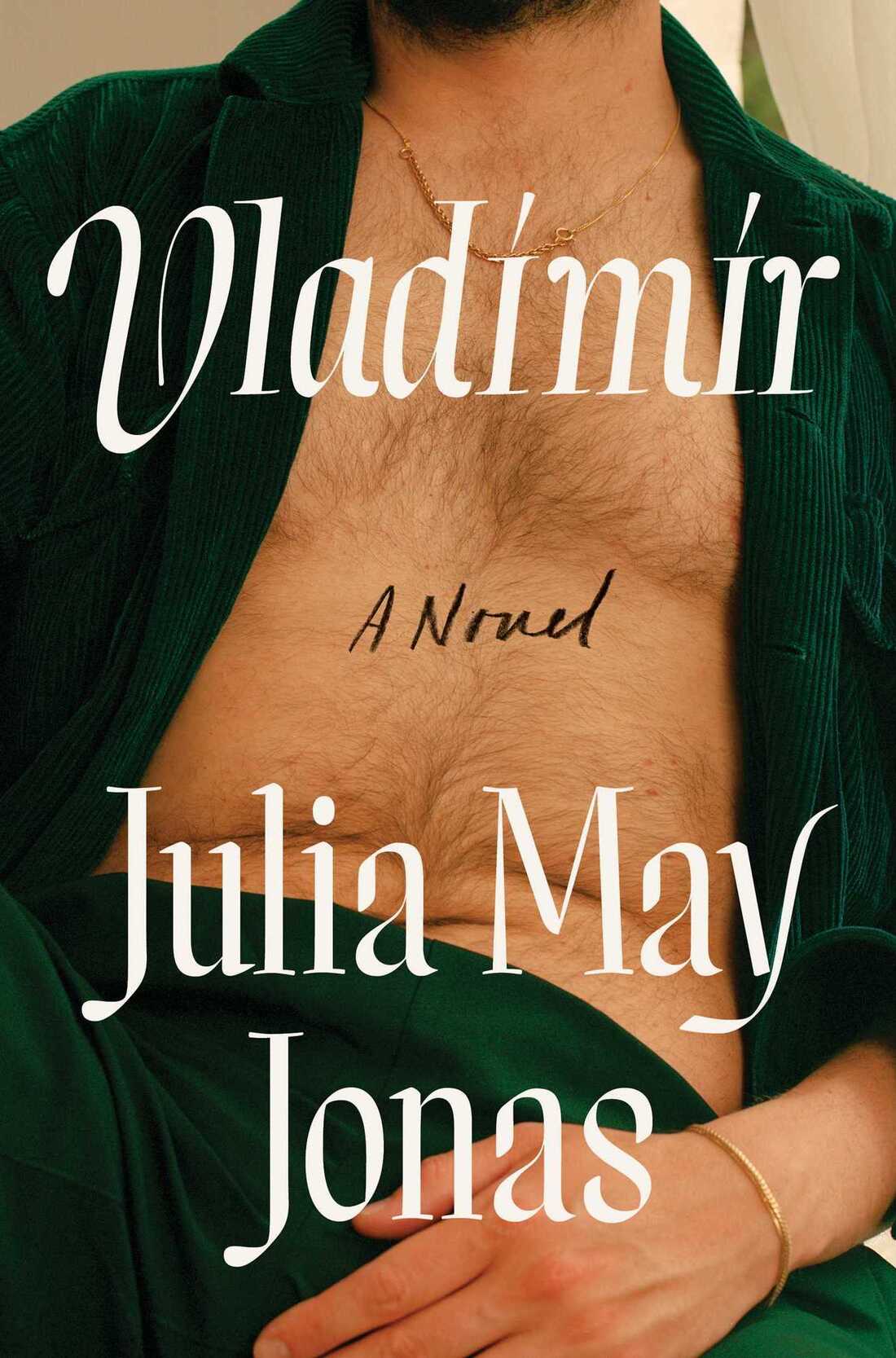 Vladímír review Julia May Jonas subversive novel will remind you of Lolita photo