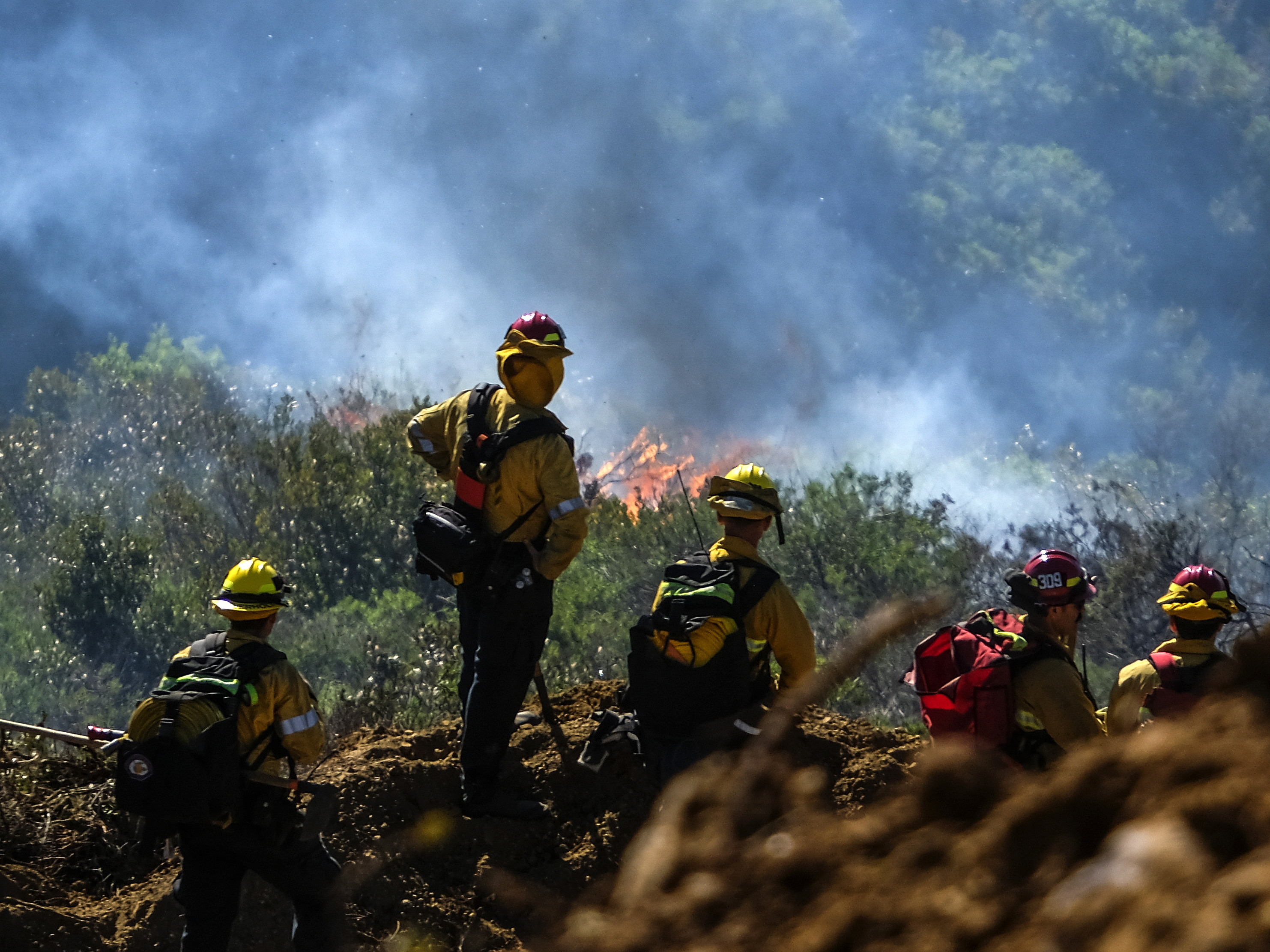Firefighters clean up after a wildfire that threatened California's Laguna Beach - Vimarsana News