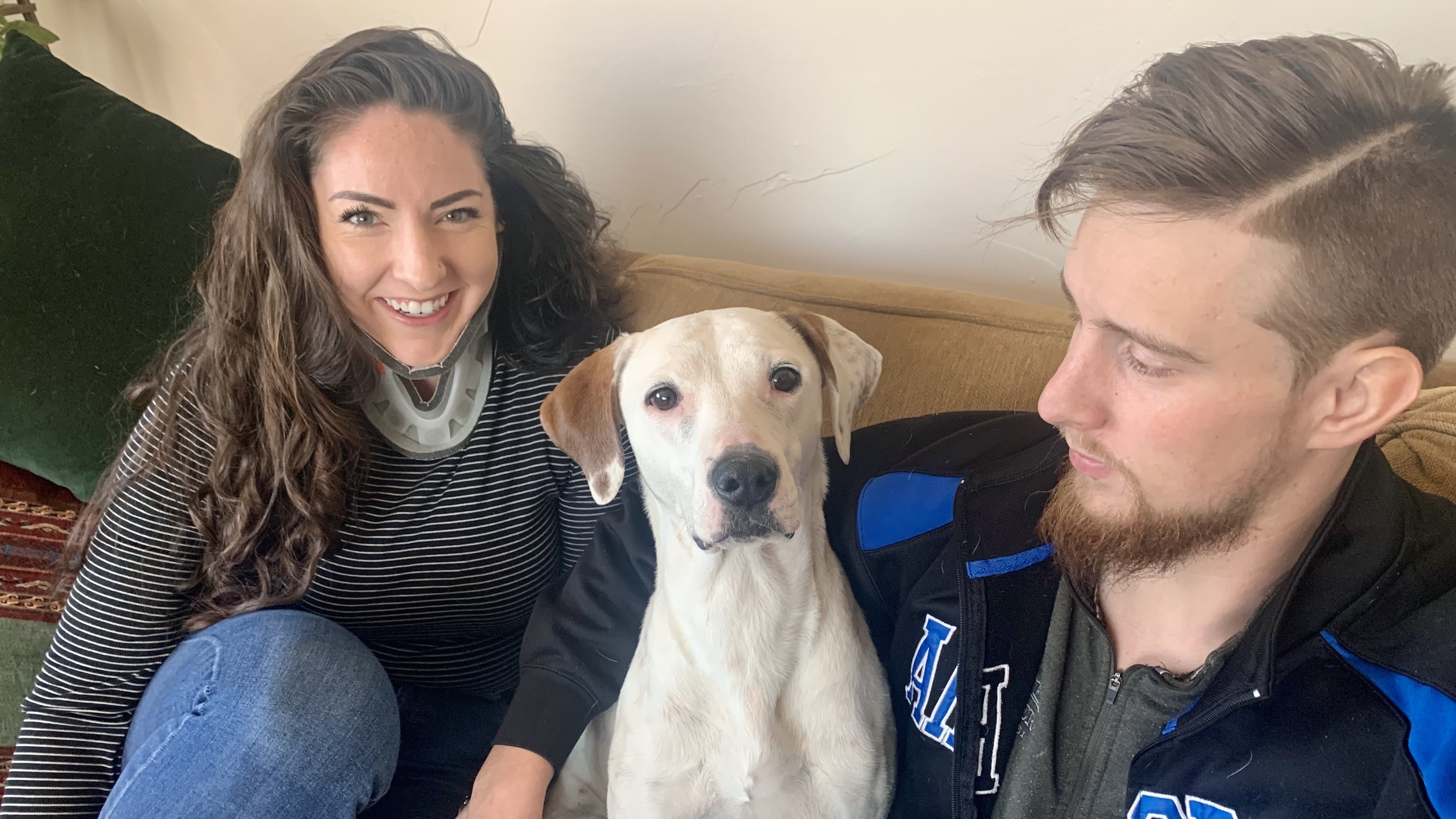 Rescue dog reunited with its owners thanks to crowdsourcing on Facebook