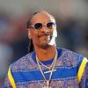 Snoop Dogg and Kelly Clarkson to host a U.S. version of the 'Eurovision Song Contest'