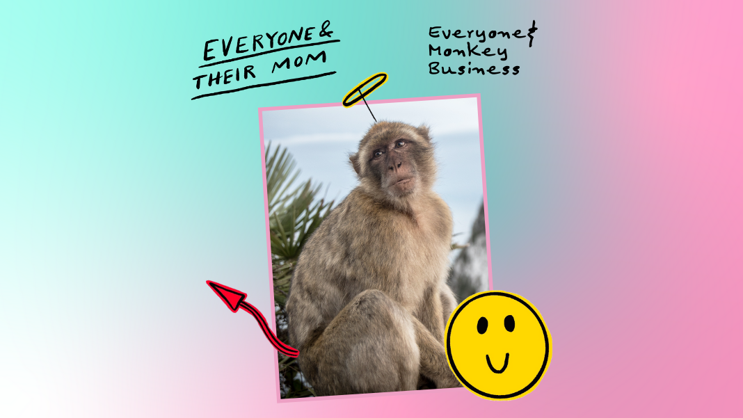 A Marvin Gaye Impersonator Gets Monkeys in the Mood