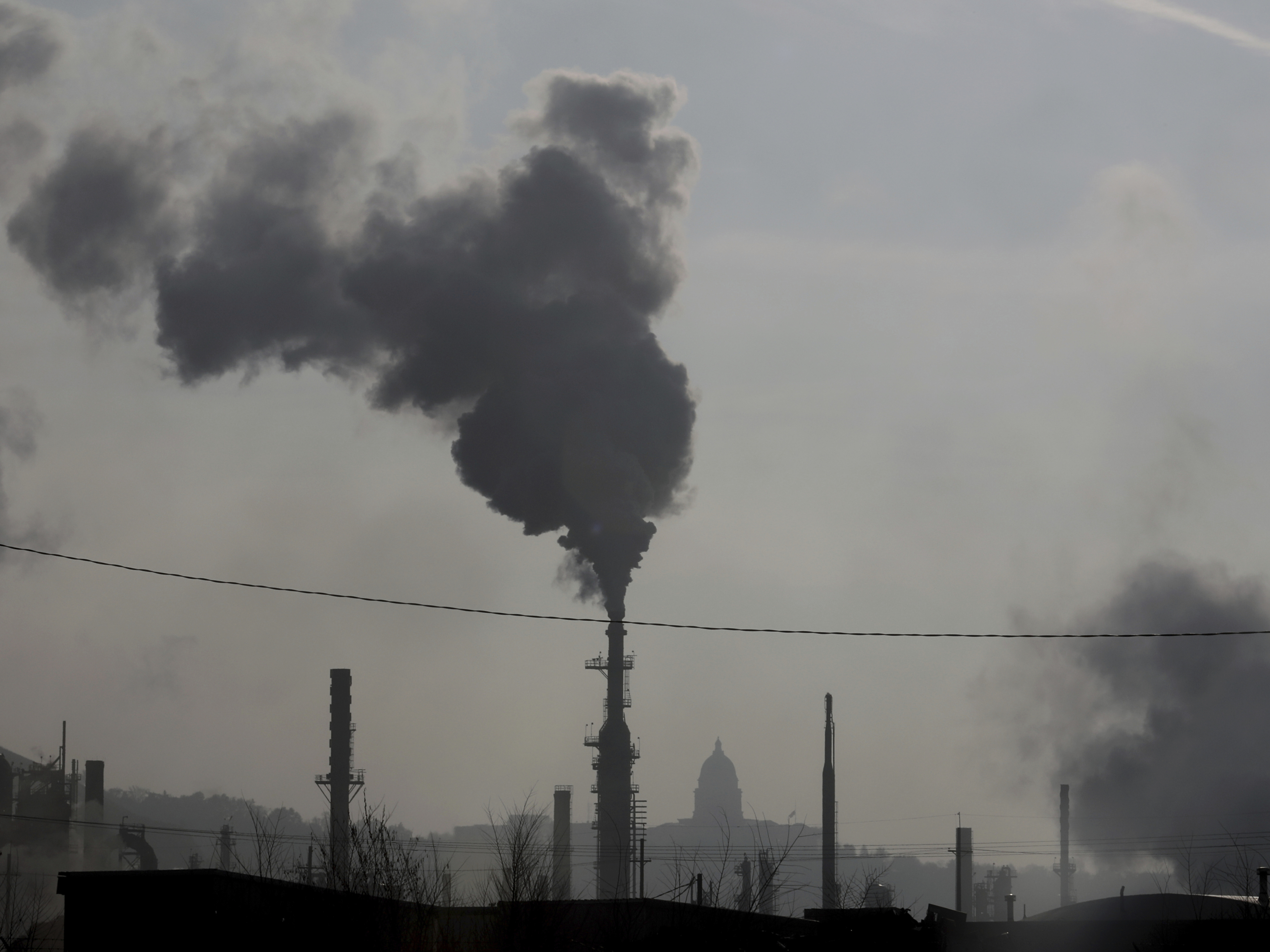 Climate change, air pollution, pollen and health – World Health Organization (WHO)