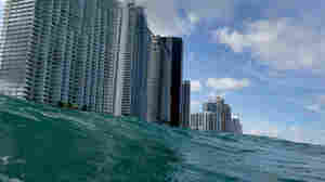 The U.S. may force companies to disclose climate risks, marking a historic change 