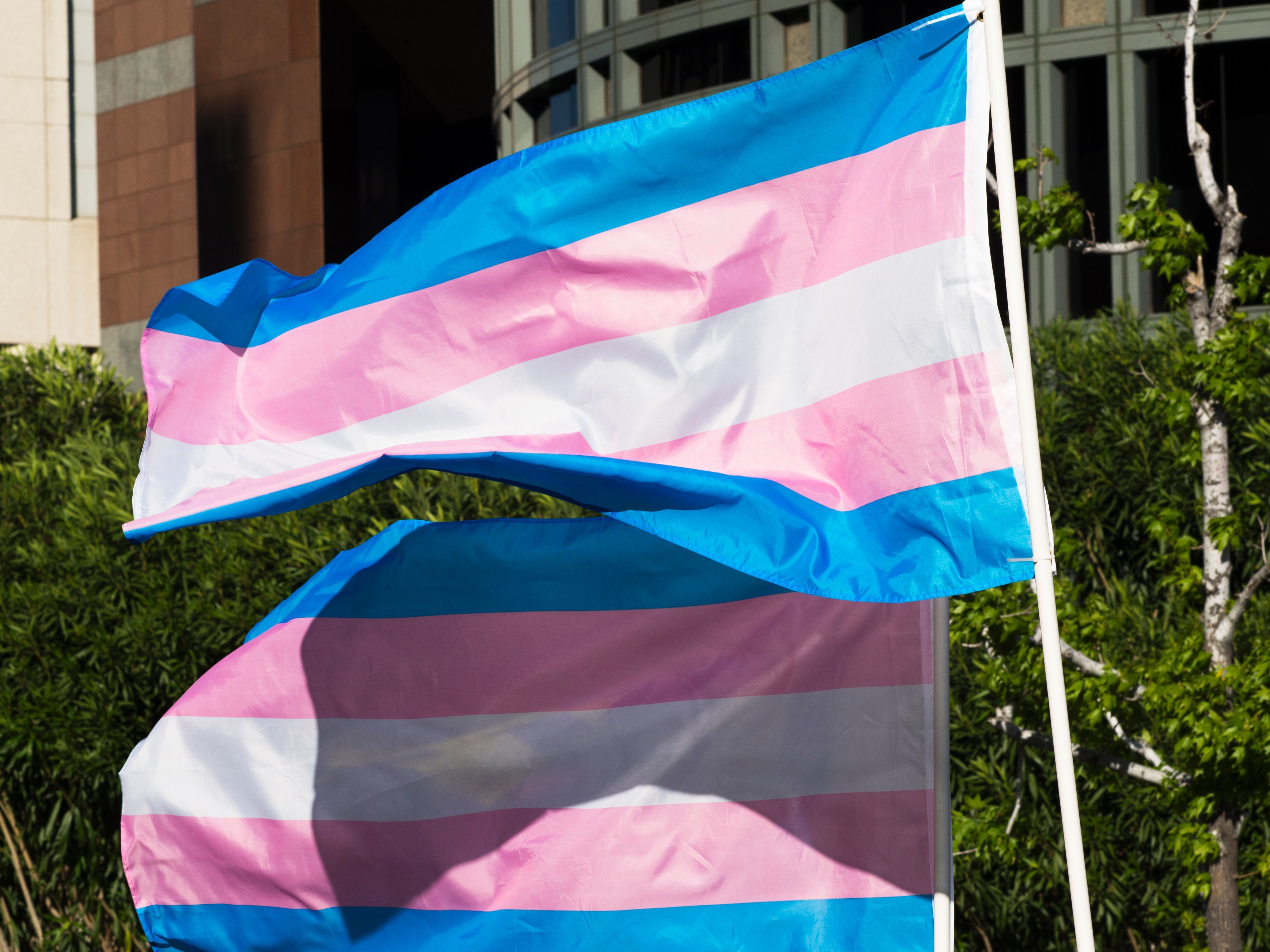 Republican-pushed bills are seeking to deny minors access to hormone therapy and puberty blockers. Both are treatments that have been vetted and peer-reviewed by mainstream medical organizations, including the American Academy of Pediatrics. (AFP via Getty Images)