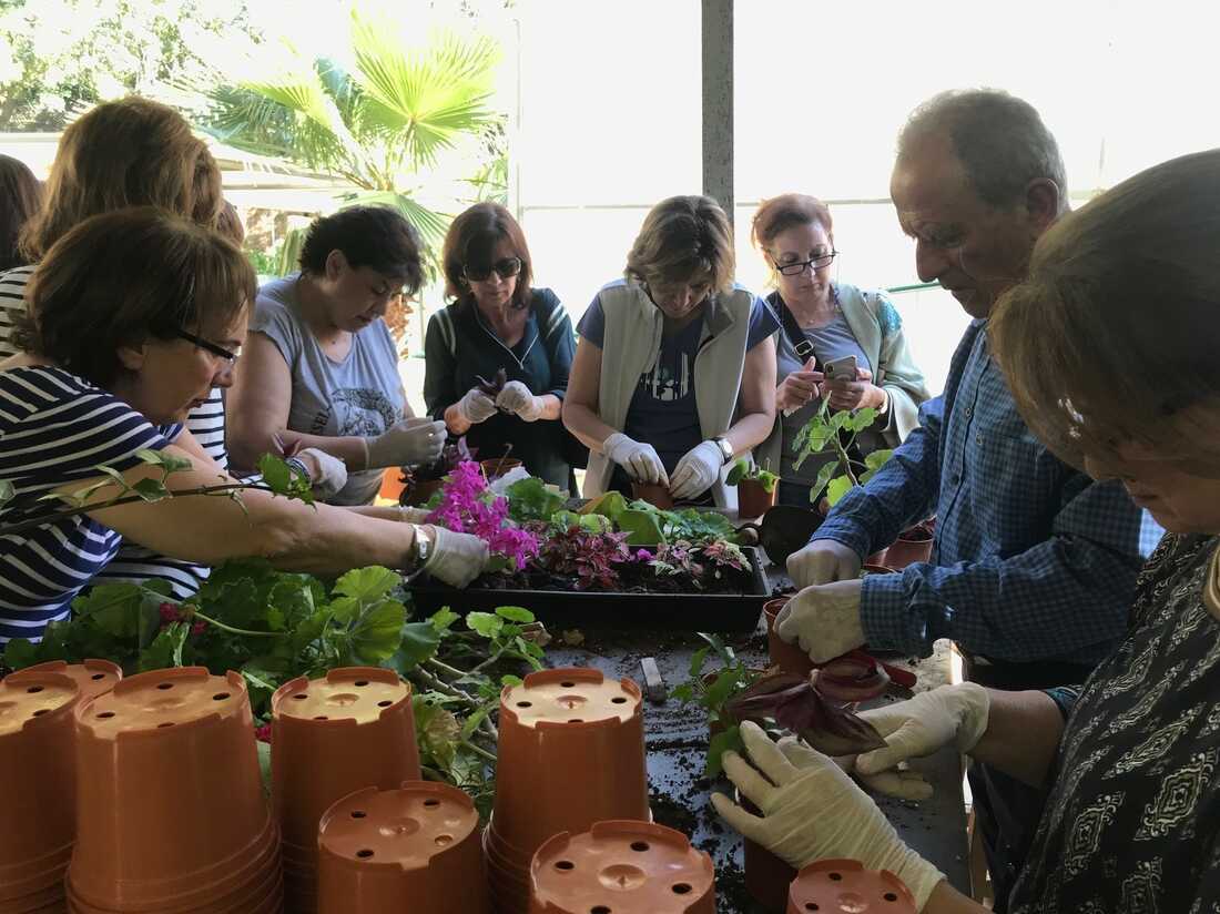 Lebanon's University for Seniors brings older people back to class : NPR