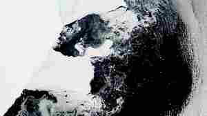A previously stable ice shelf, the size of New York City, collapses in Antarctica