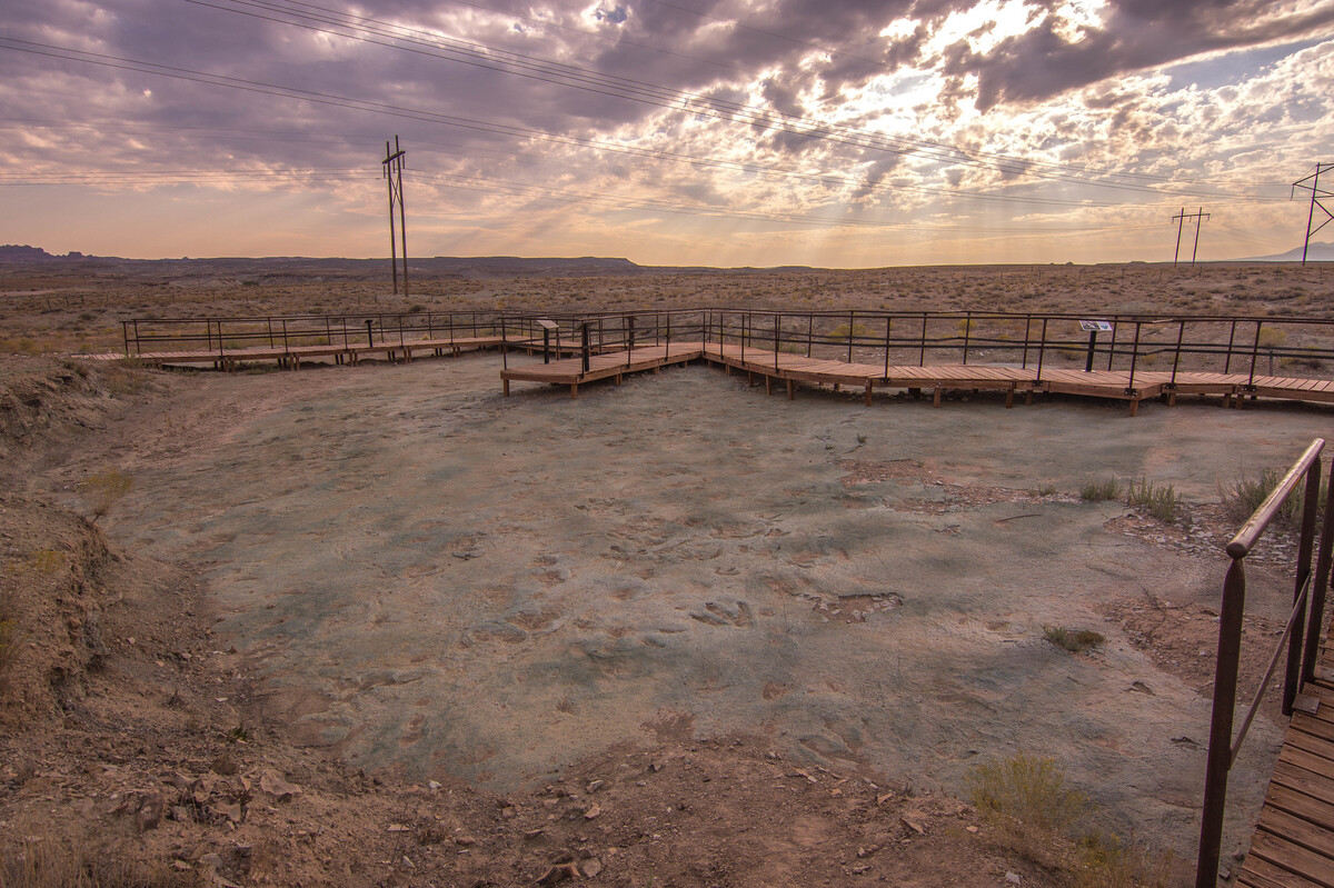 Utah dinosaur tracks damaged by construction machinery : NPR 25147820328 13de67af98 k custom 79c473a44d0e133f3a4c0a77559e80afc6b5633a s1200