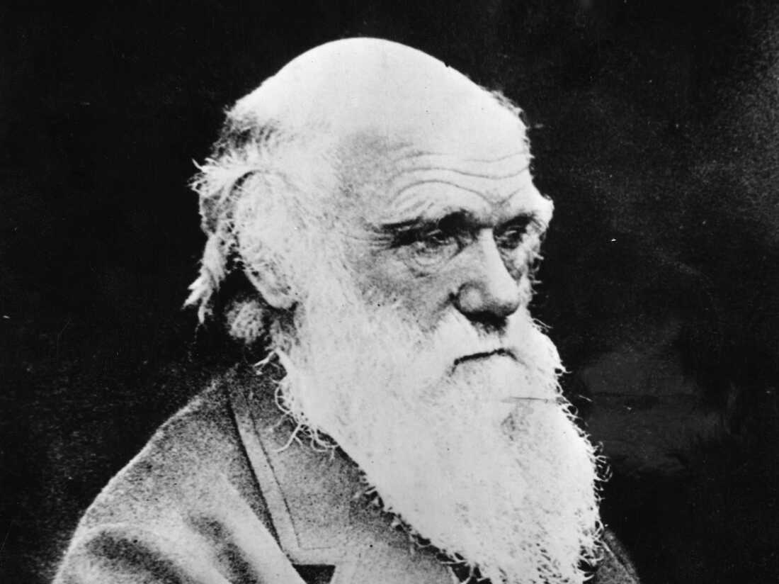 Τα σημειωματάρια του Charles Darwin επέστρεψαν: NPR