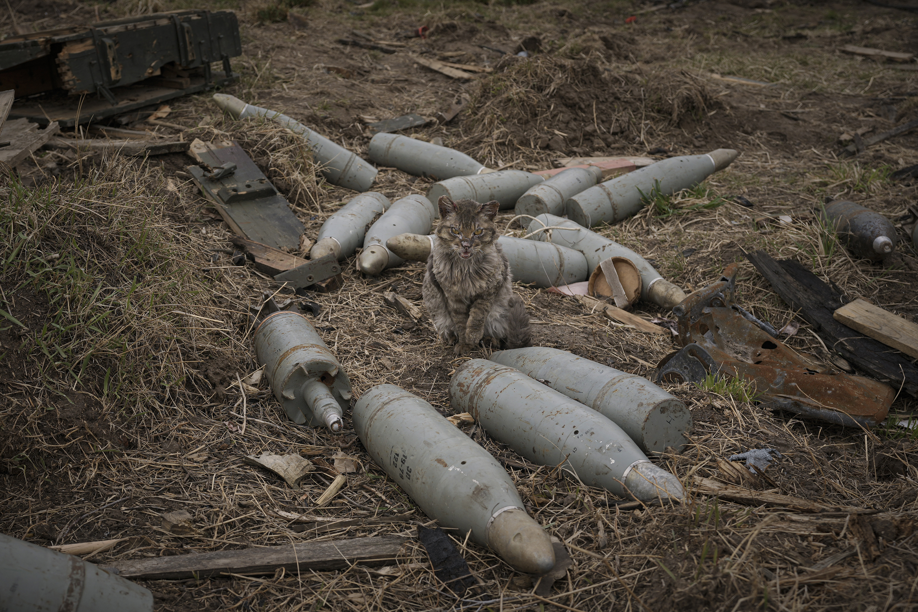 April 6: A cat sits between large caliber rounds of ammunition abandoned by retreating Russian forces or retrieved from destroyed fighting vehicles in the village of Andriivka, in eastern Ukraine.
