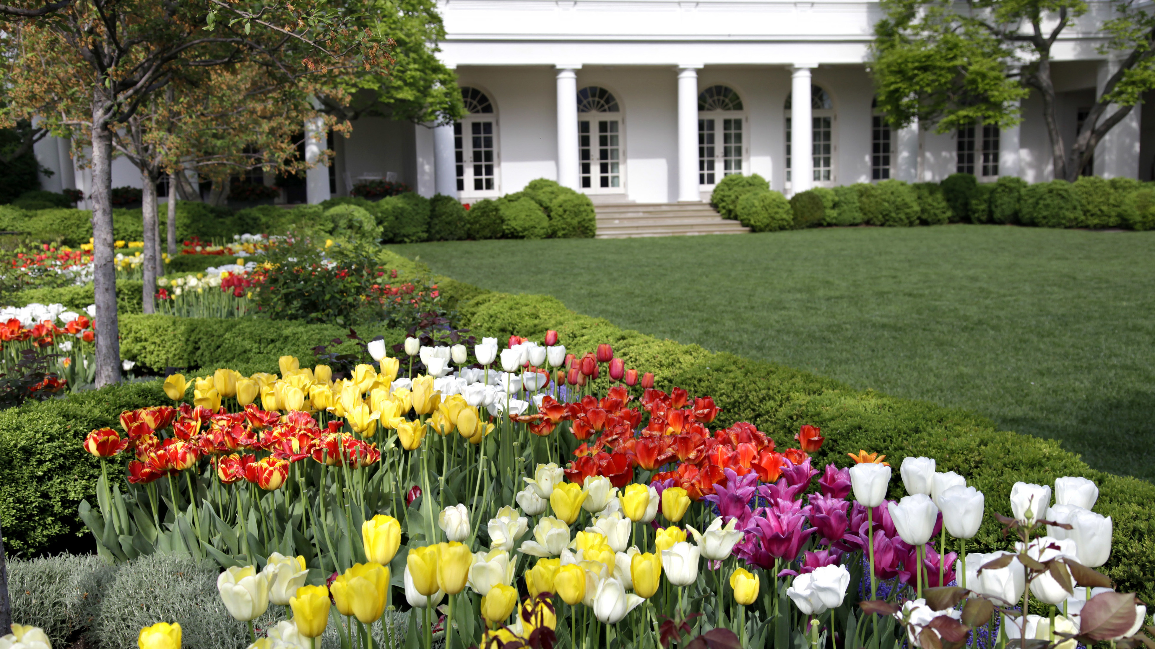 Public tours of the White House are set to resume Friday NPR