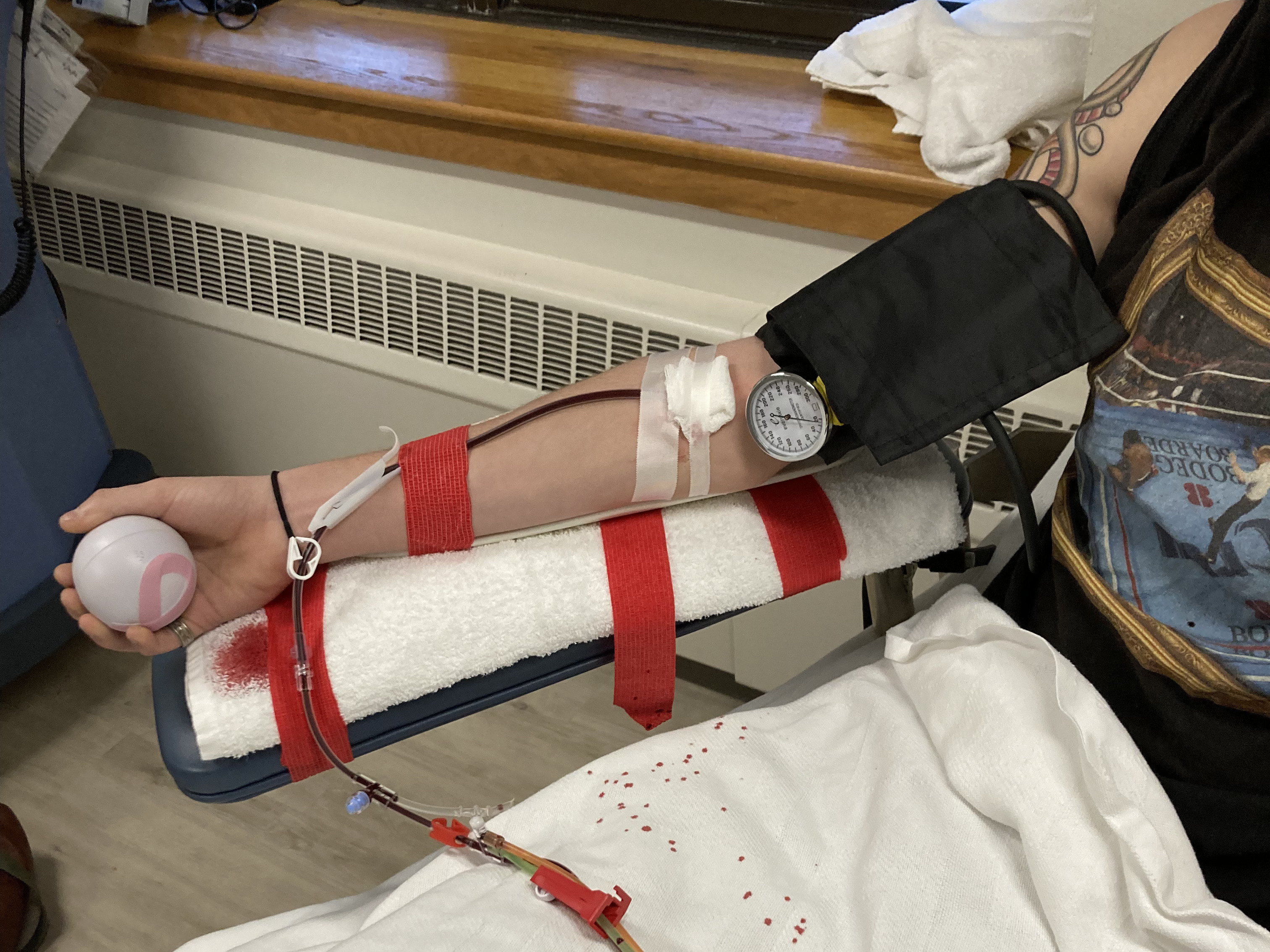 Giving a stranger a new life: One student's story about donating stem cells - Vimarsana News