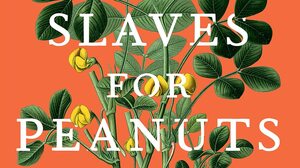 'Slaves for Peanuts' weaves a complex story crossing time and oceans