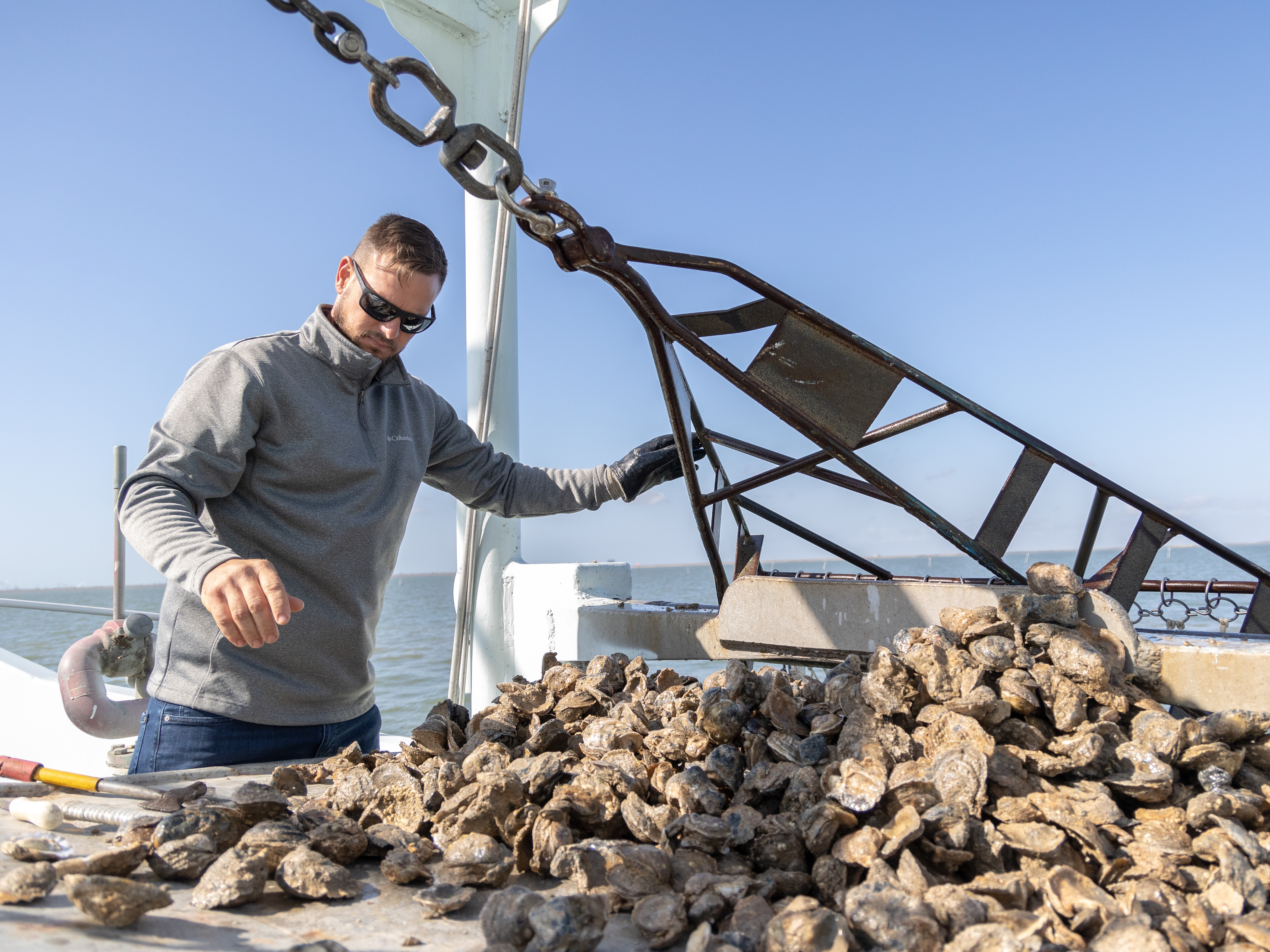 Oyster reefs in Texas are disappearing. Fishermen there fear their jobs will too - Vimarsana News