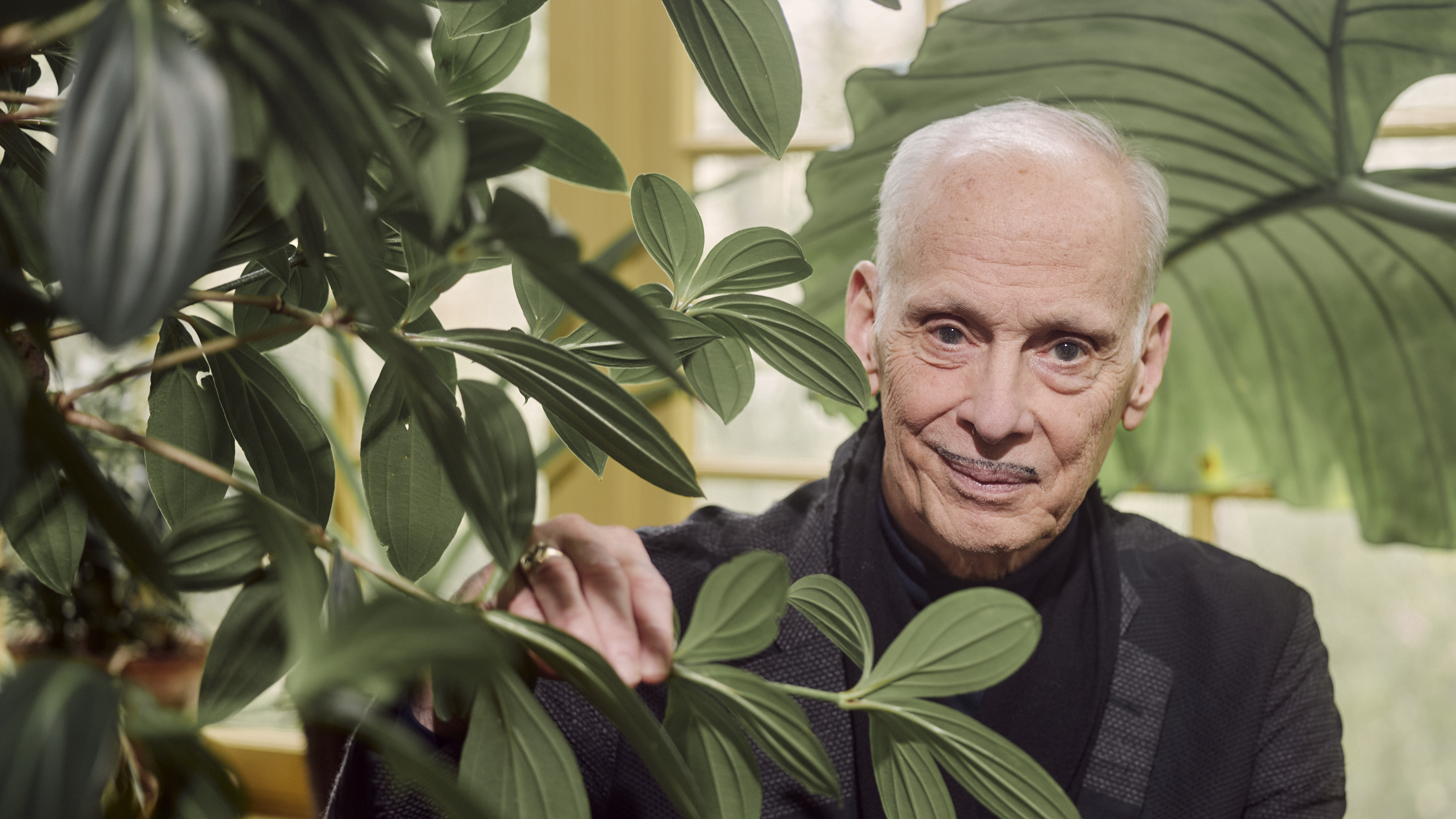 Filmmaker and author John Waters at his home in Baltimore. This year marks the 50th anniversary of his landmark film, Pink Flamingos, and he