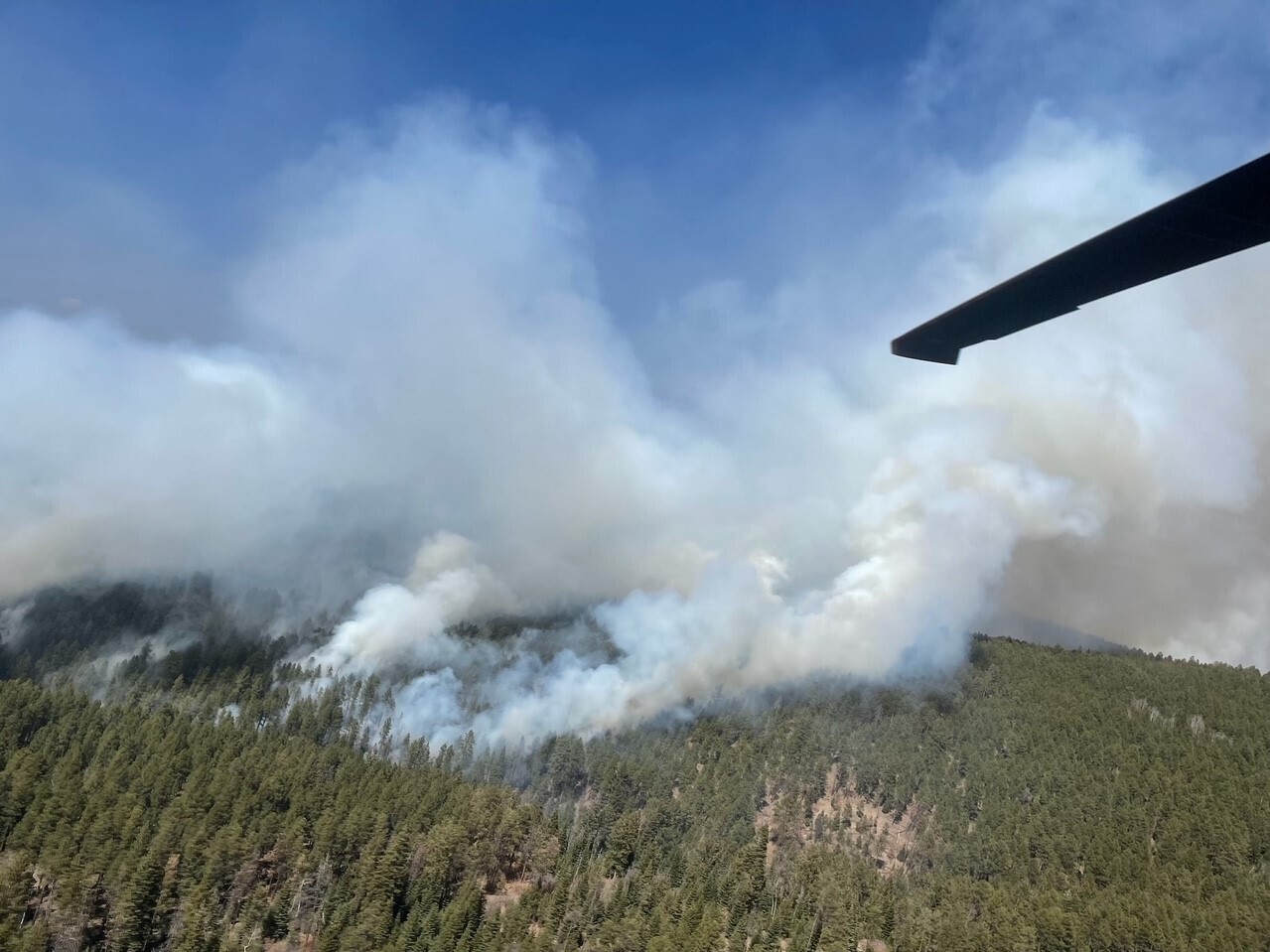 FRI: Gusty winds fan wildfires in Texas, New Mexico & Colorado, + More - Vimarsana News